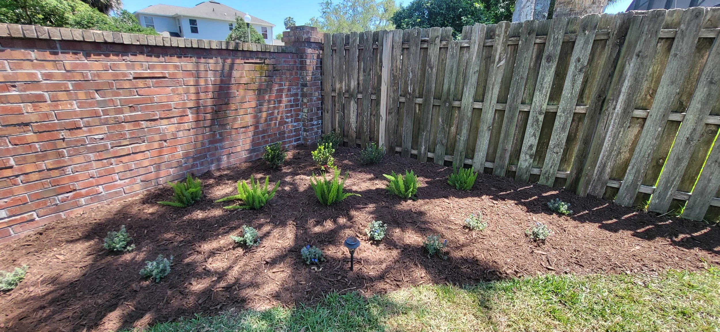 A backyard garden with a brick wall on the left, a wooden fence on the right, and various small green plants and shrubs planted in the soil bed. There's a small solar garden light in the middle of the garden bed, with sunlight and shadows cast across the area.