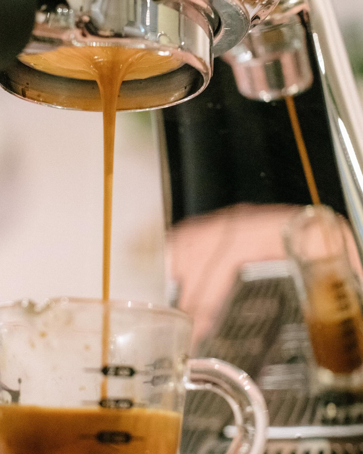 The money shot 😉☕️

#goodgriefcoffee #cafe #coffeeshop #themoneyshot #espressoshot #francesbeattyphotography #thornbury #coffeetime #latte #coffeehouse