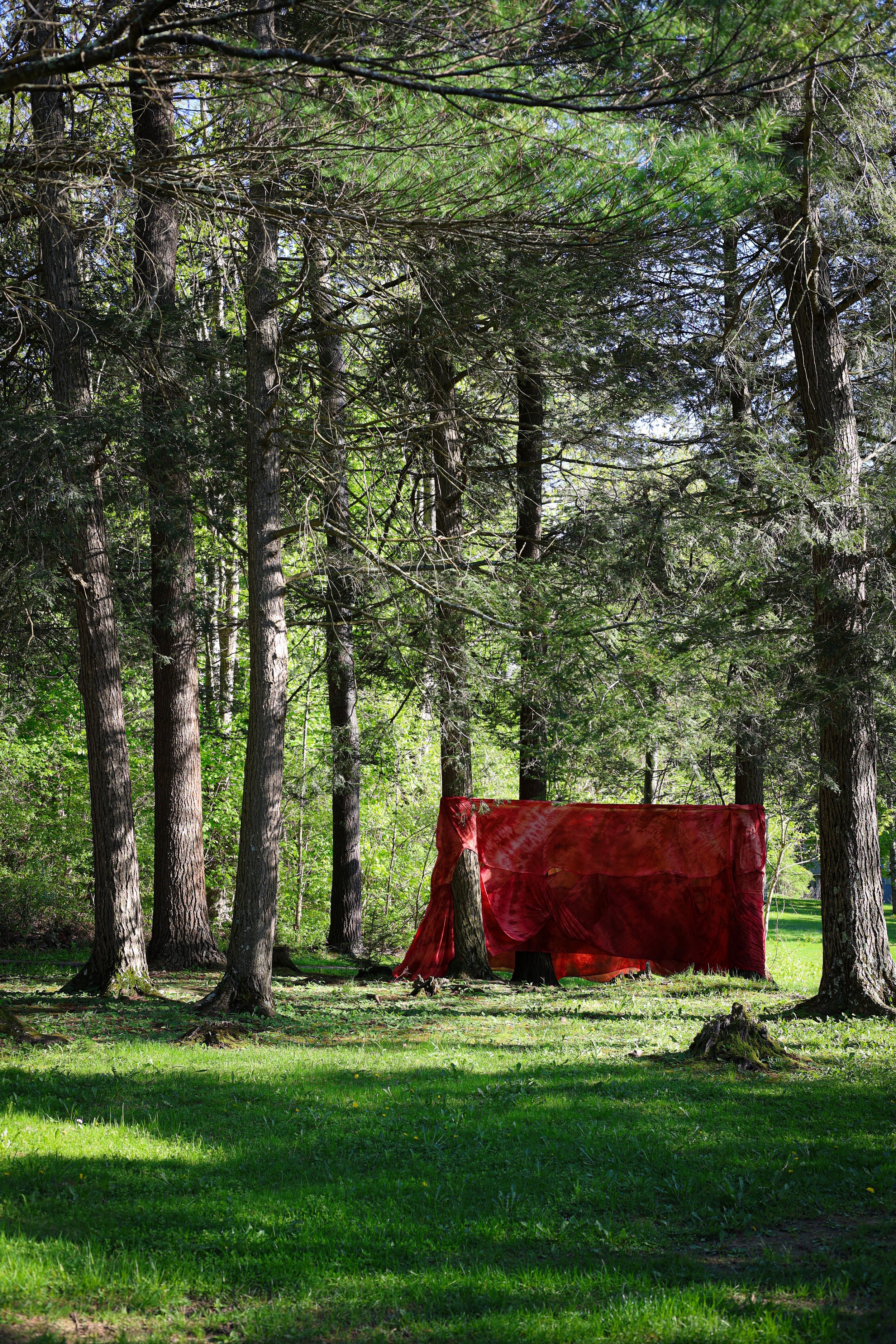“Swell Ingress” |
Silk, Chiffon, thread, ratchet straps, dye |
40 ft perimeter and 10 ft tall |
Boston Tanglewood Institute, 2025