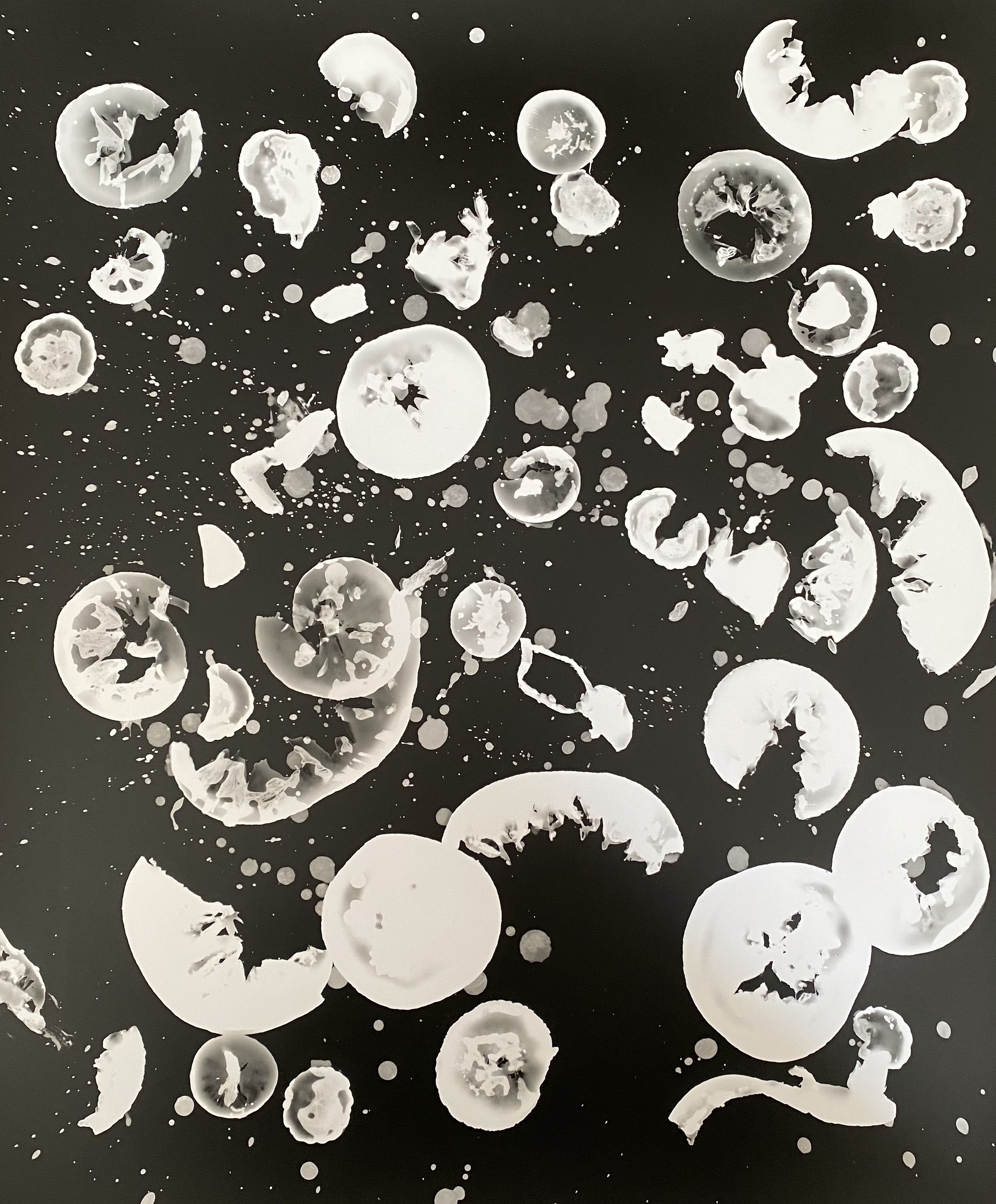 "Perfection Too" 2023