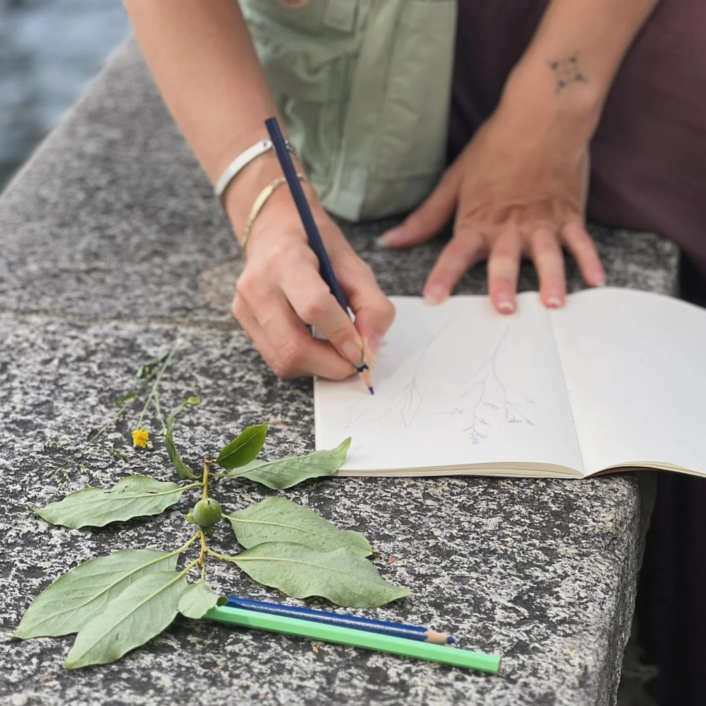 Stanno per tornare le date del Lab. in esterna: Passeggiata d&rsquo;Arte 🌱

#staytuned#walkandsketch#lunariastudio#workshop#lugano