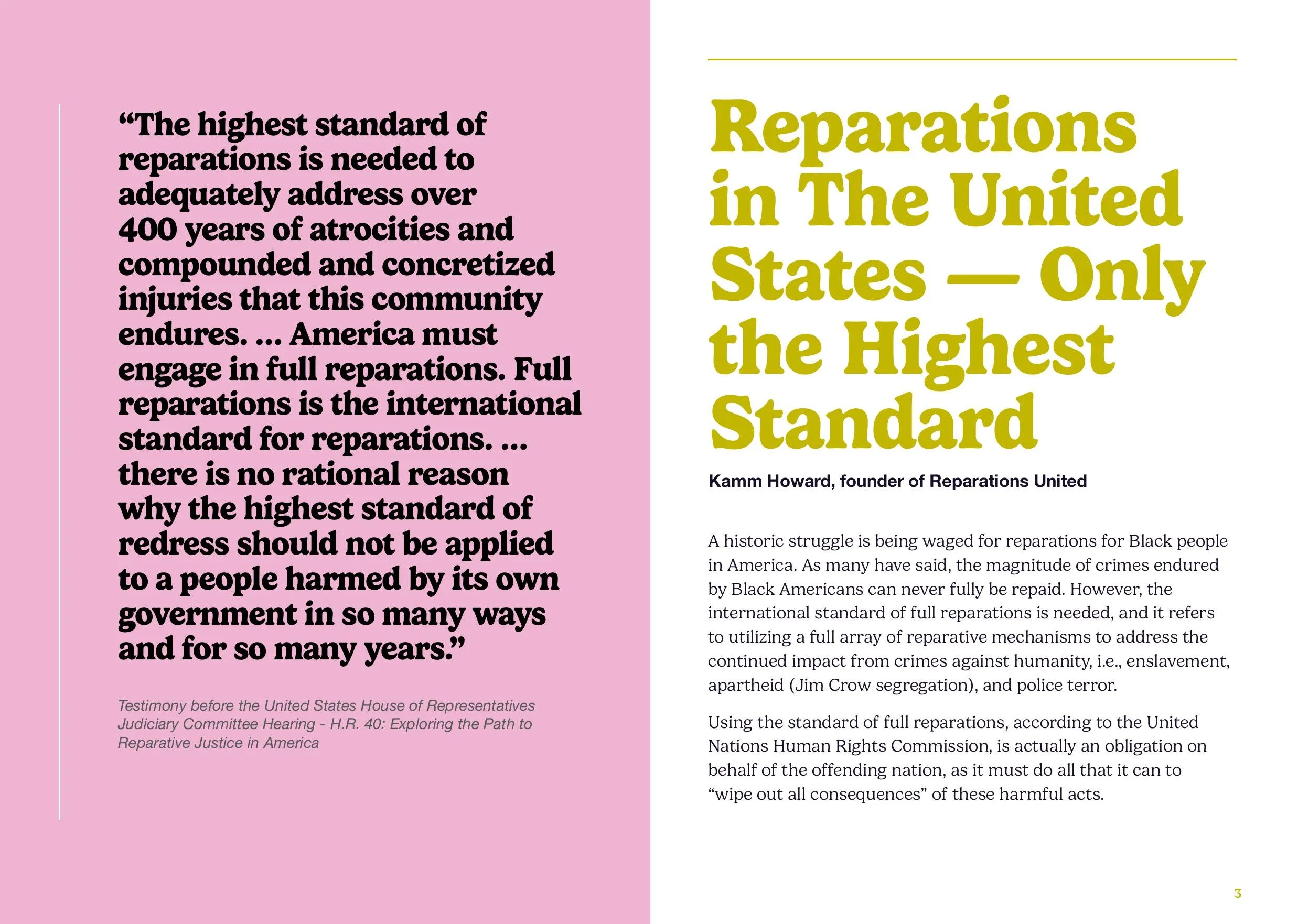Lush_Reparations_Booklet_2025-images-2.jpg