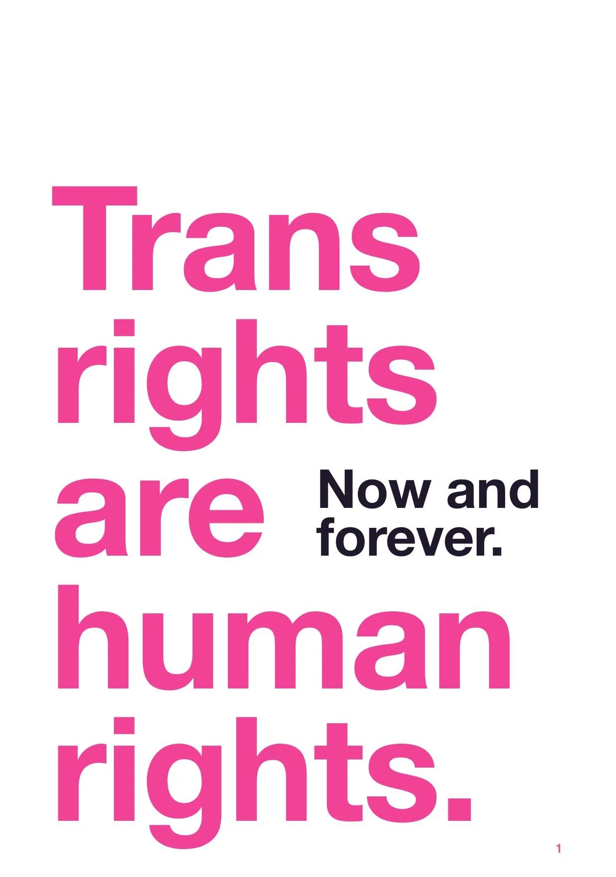TransSolidarity_2025_Booklet_4.125x5.875_EN_V3-images-2.jpg