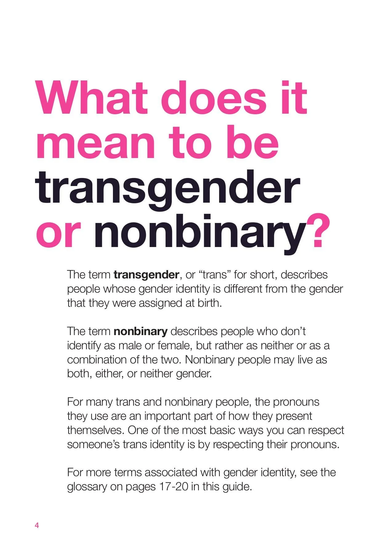 TransSolidarity_2025_Booklet_4.125x5.875_EN_V3-images-5.jpg
