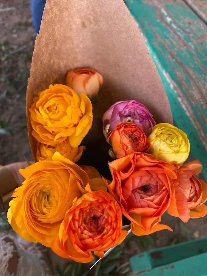 ranunculus1.jpg