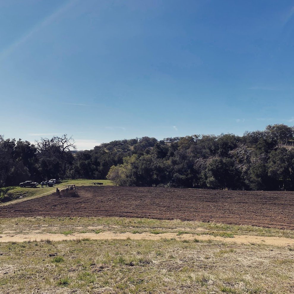 field1.jpg