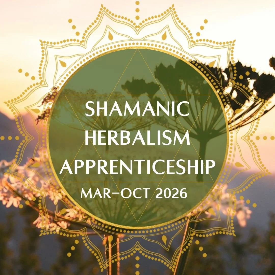 Shamanic Herbalism Apprenticeship 2026