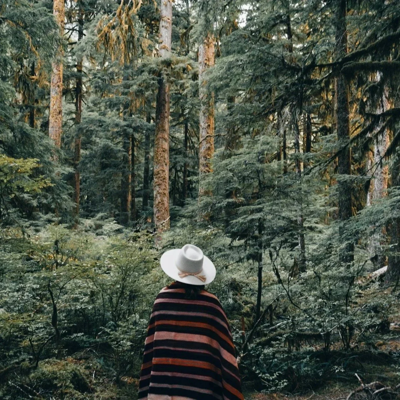 Shamanic Plant Spirit Initiation with Your Plant Ally