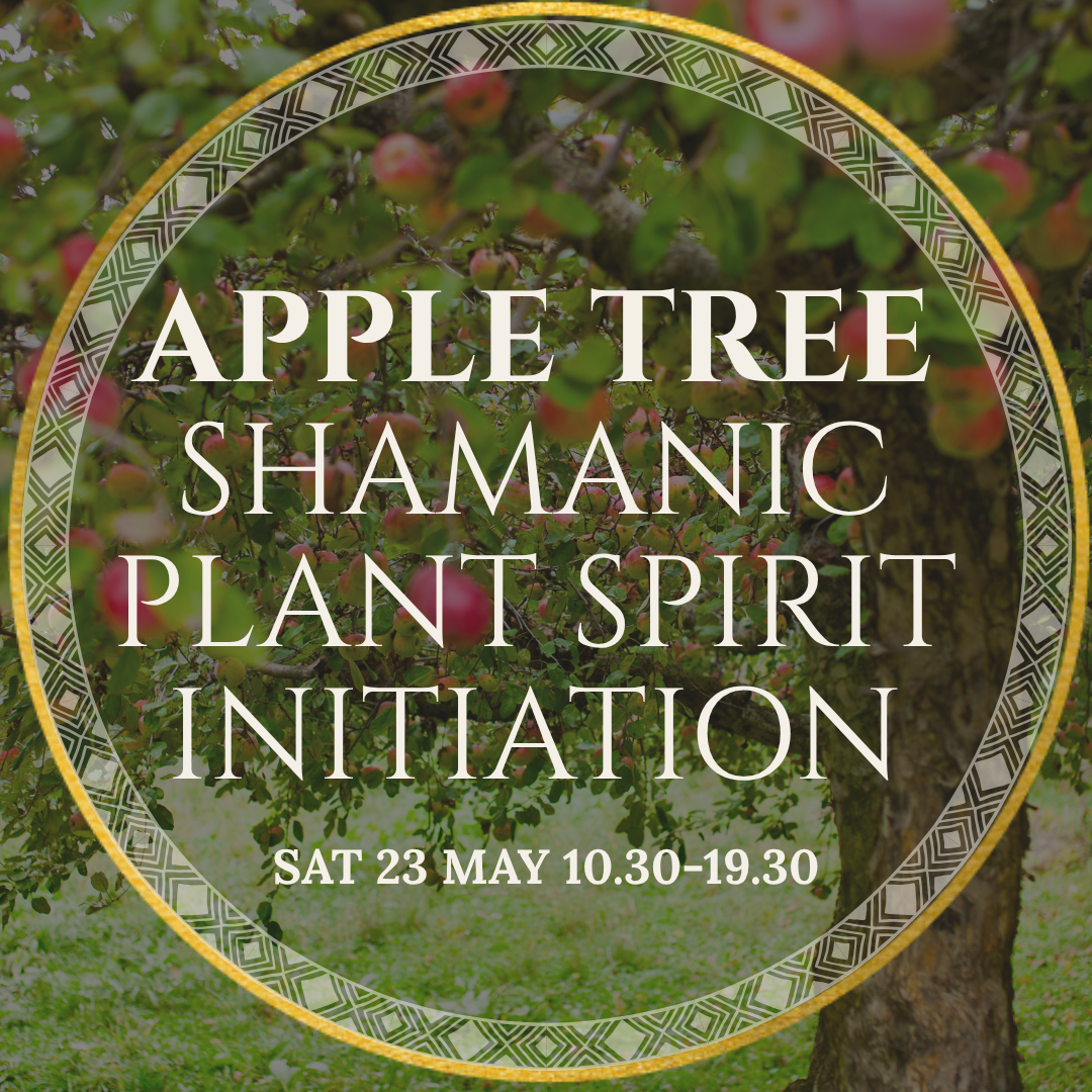 Apple Tree Shamanic Plant Spirit Initiation