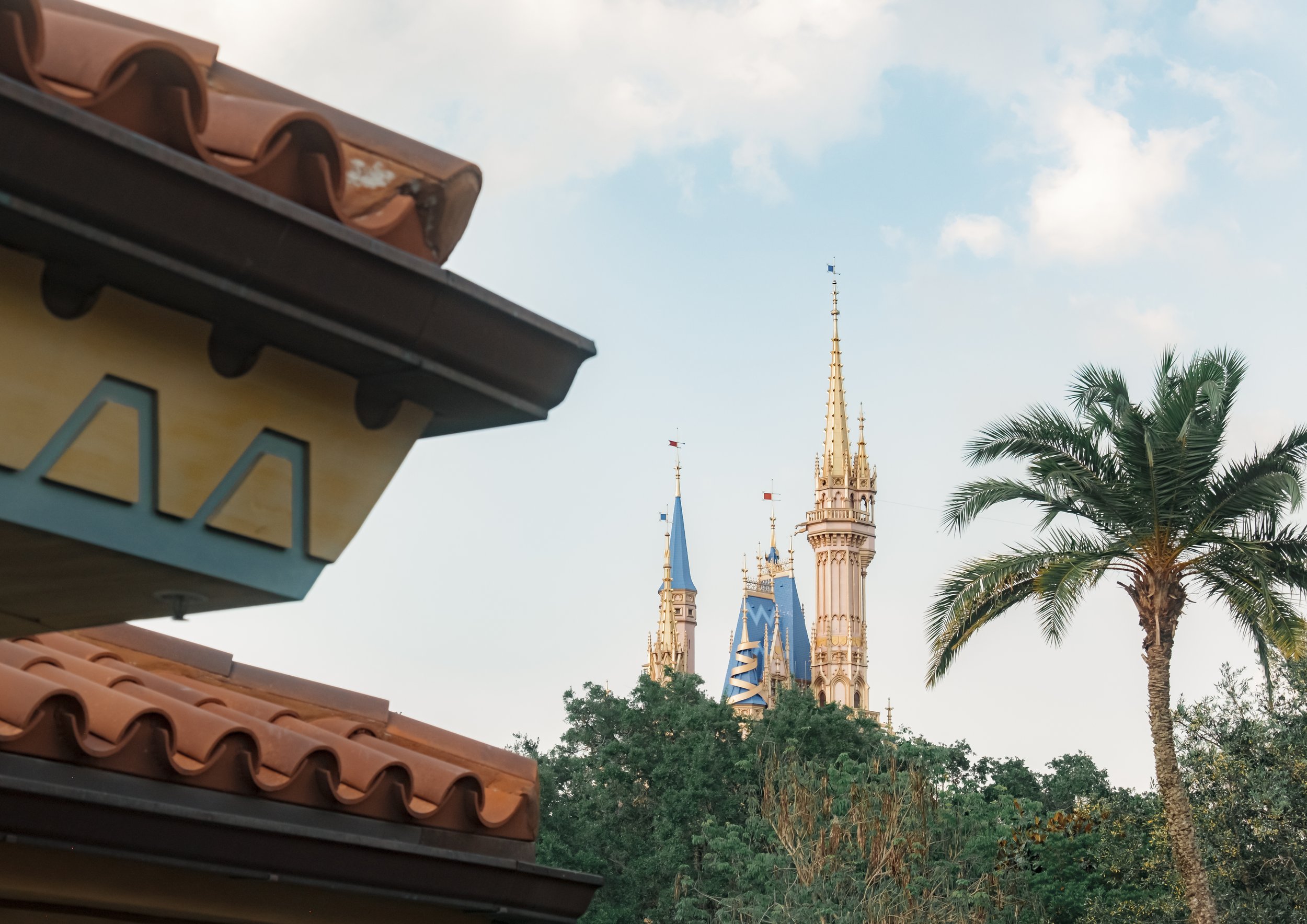 RoofCastlePalmTree-0743.jpg
