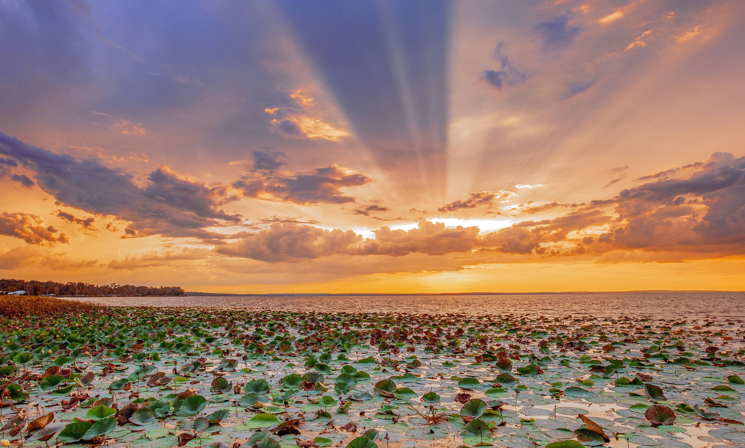 LakeApopka9622-2.jpg