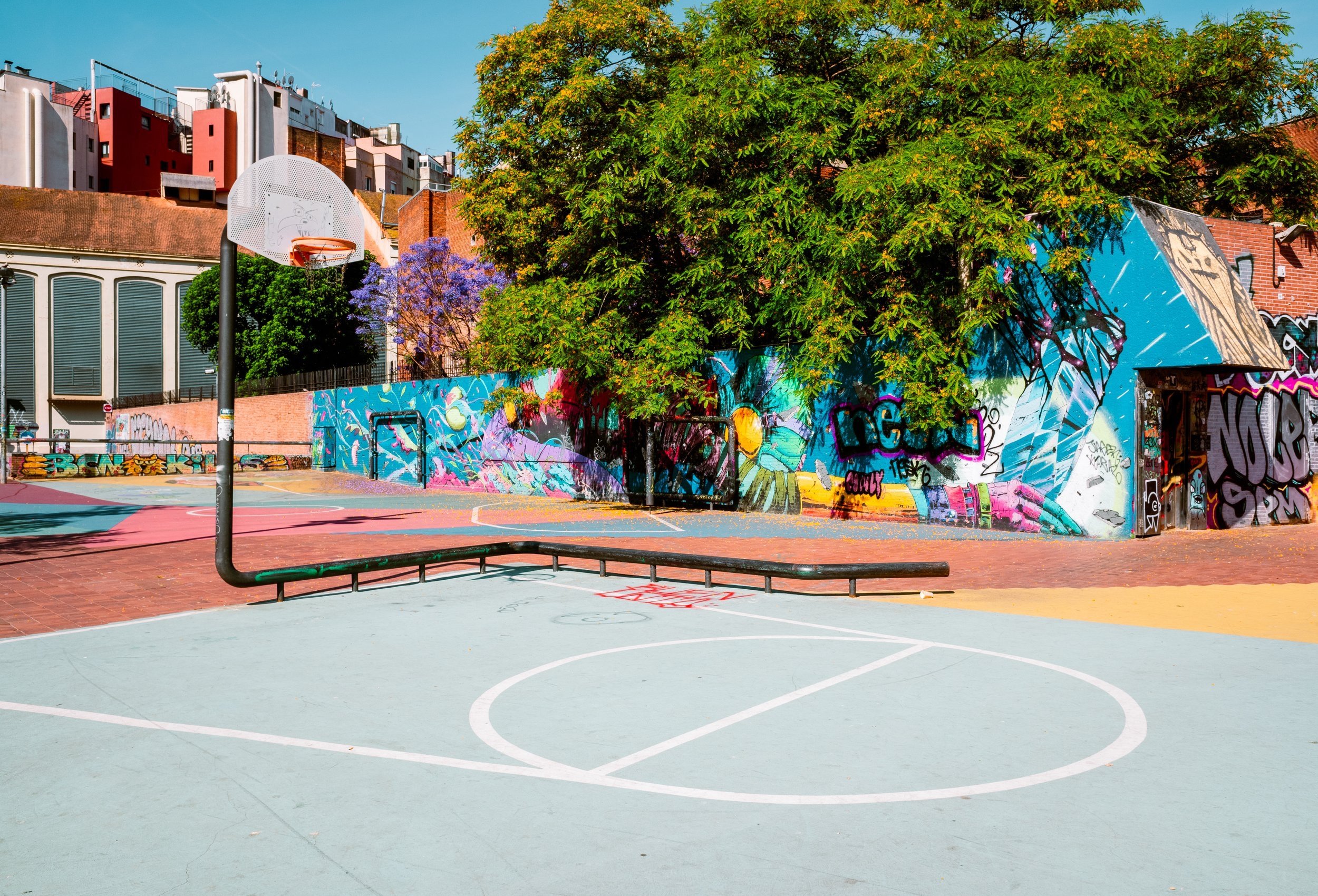 HoopsBarcaColors.jpg