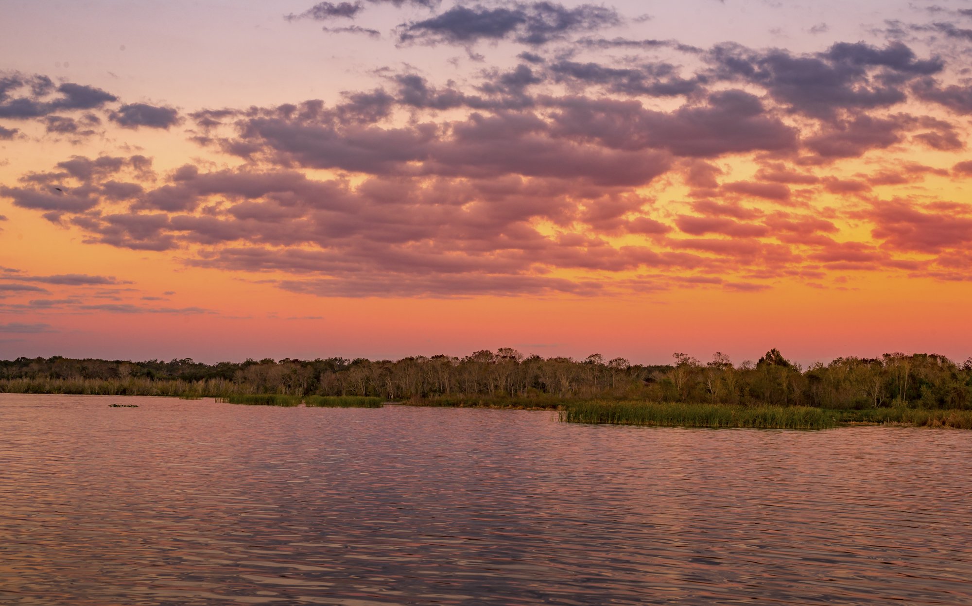 ApopkaSunset.jpg