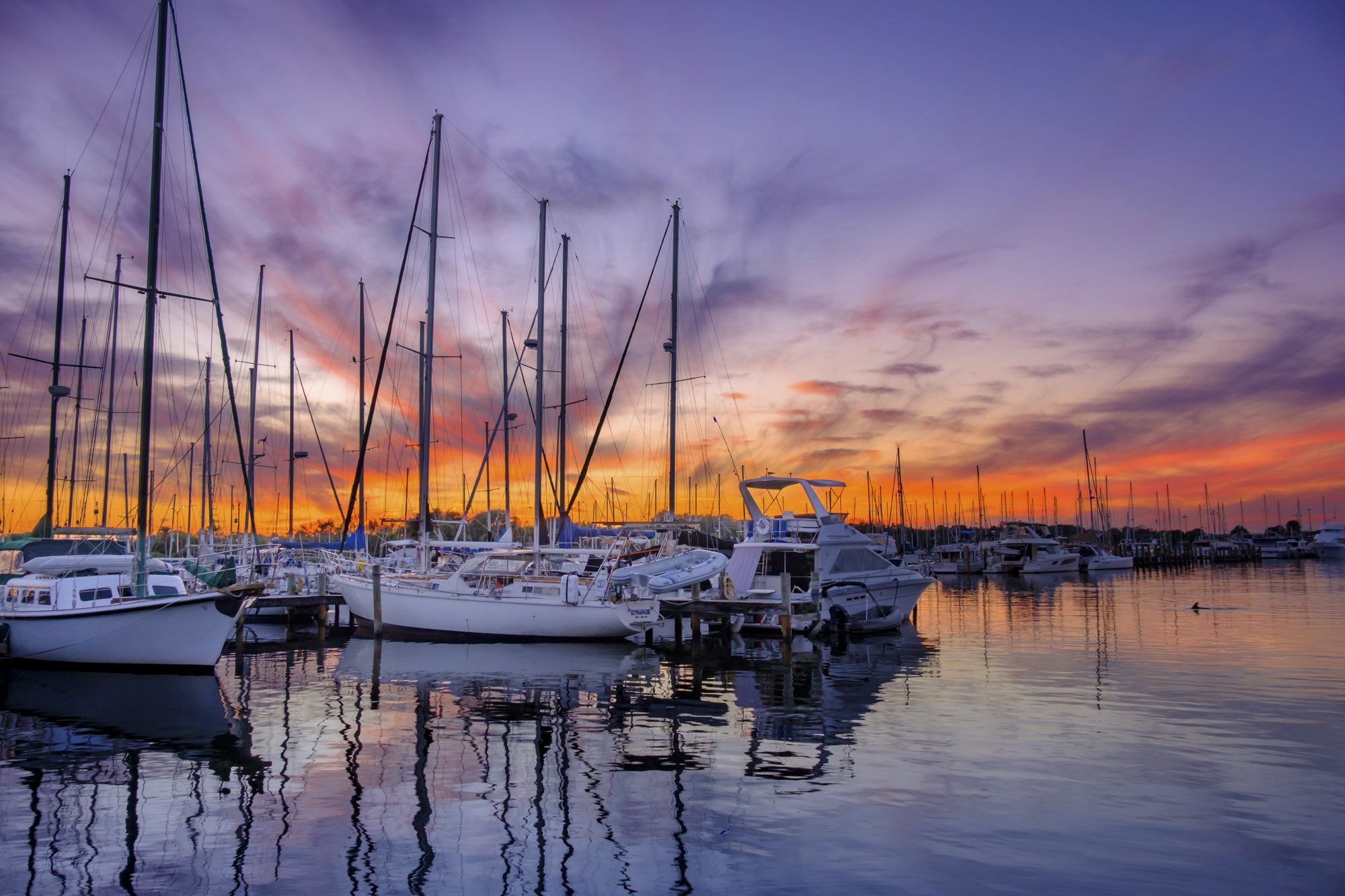 MarinaSunsetDolph.jpg
