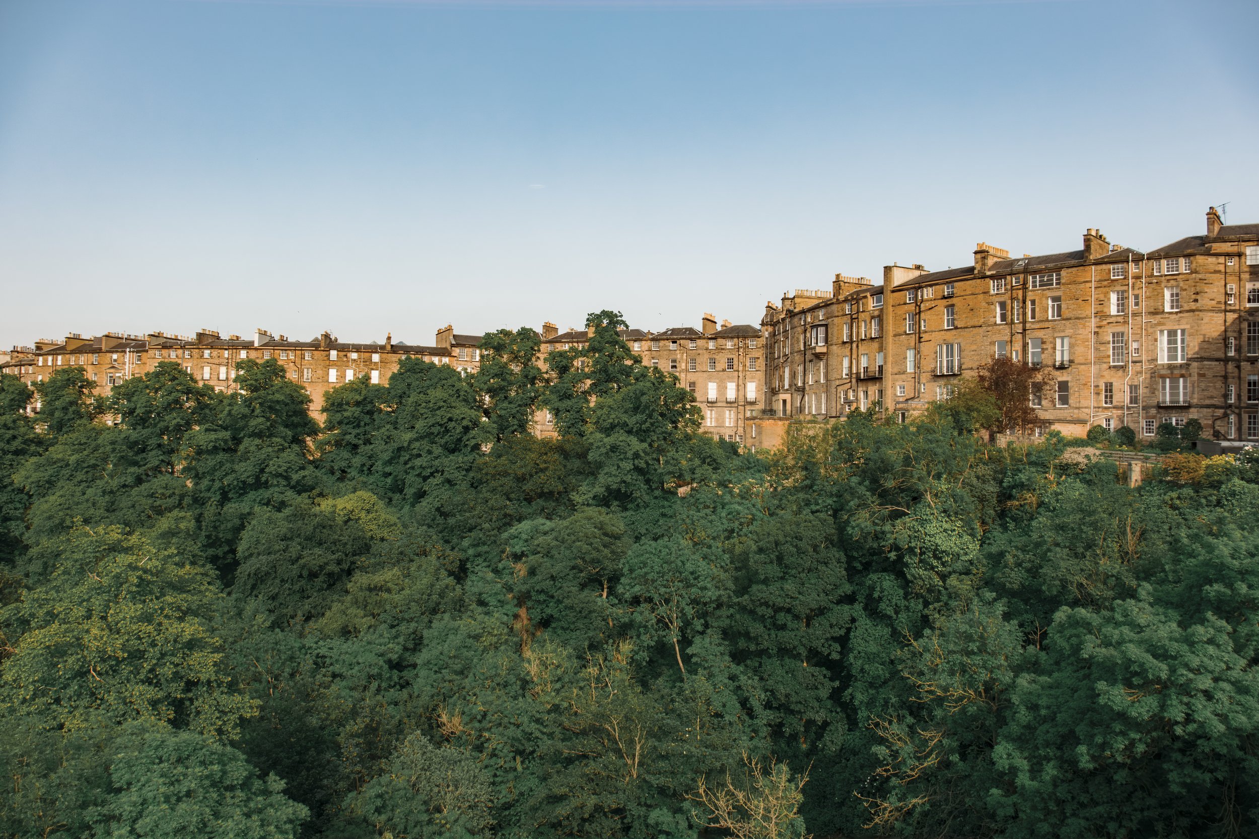 VillageBridgeTrees-.jpg