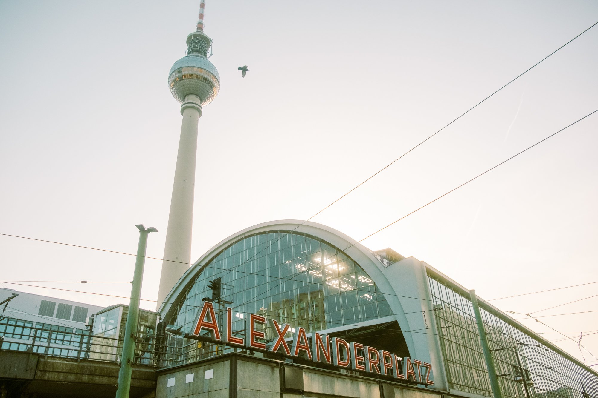 BerlinAlexanderBird.jpg