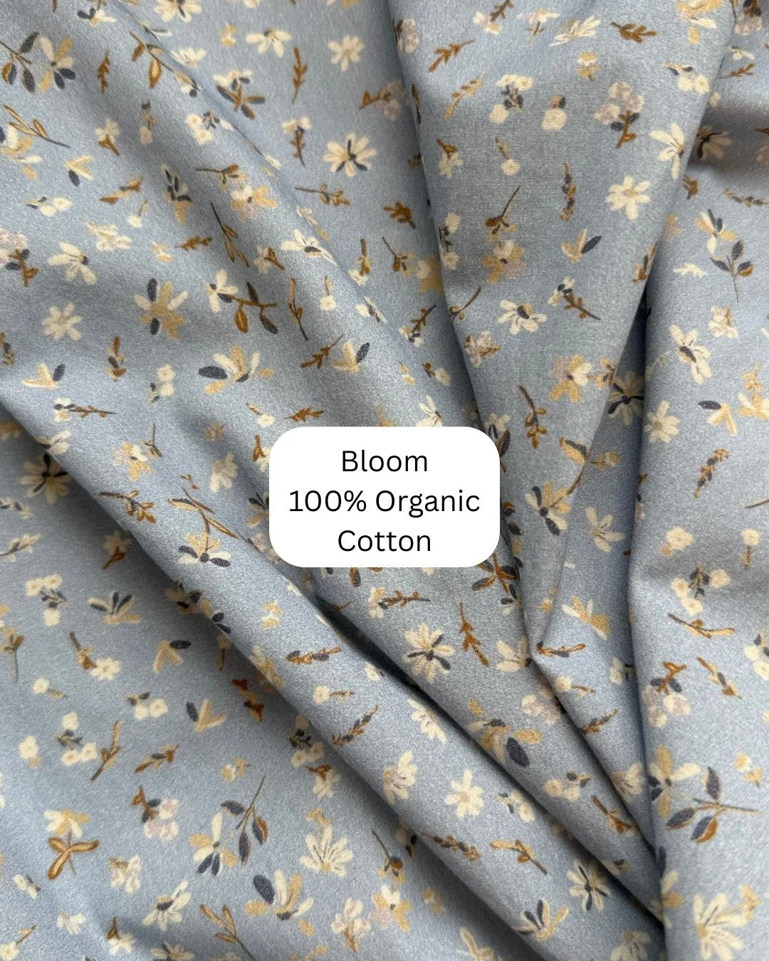 Bloom with label.jpg