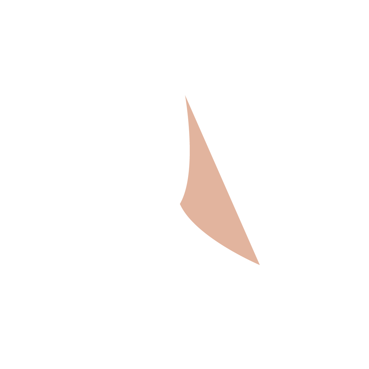 RMH Compass