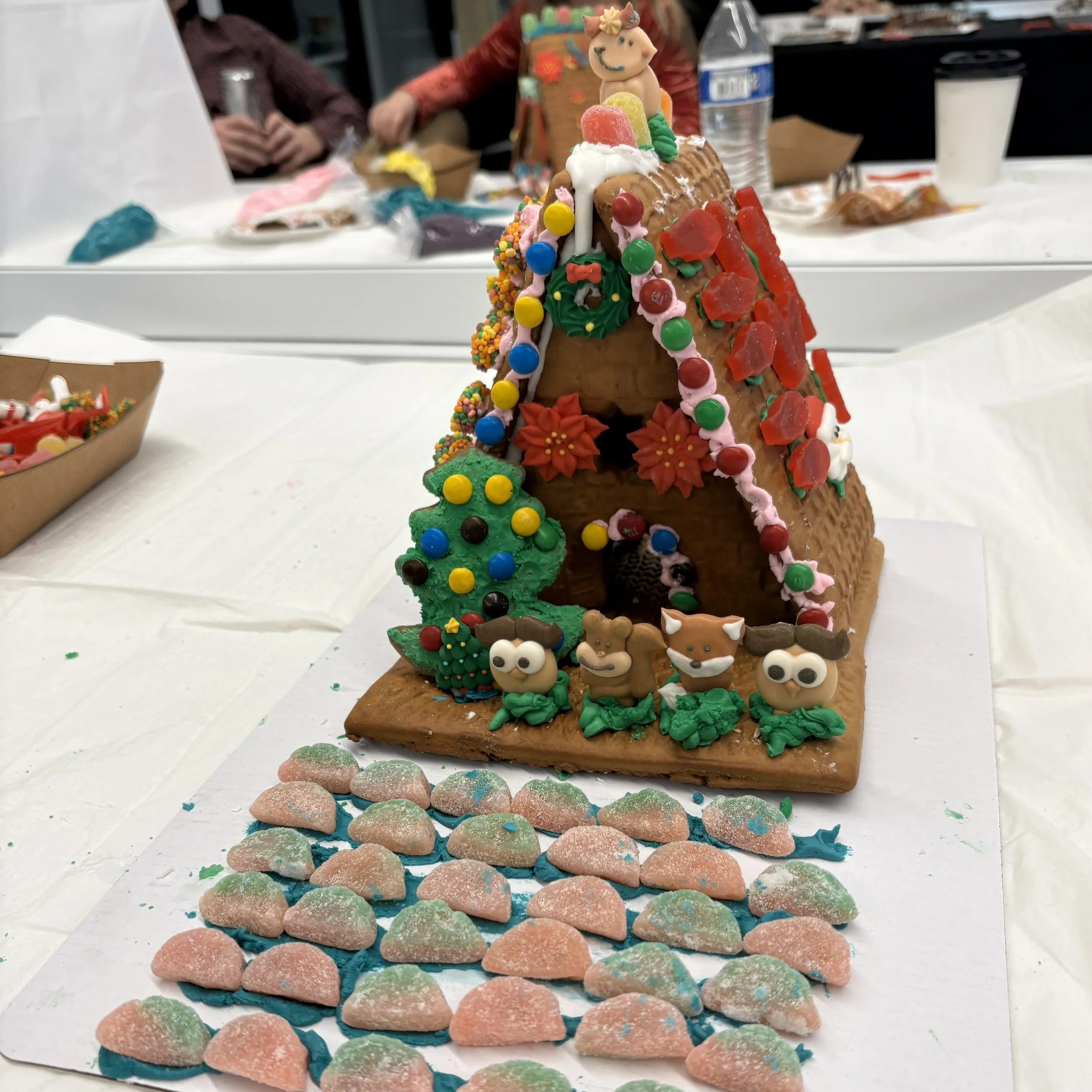 House 29