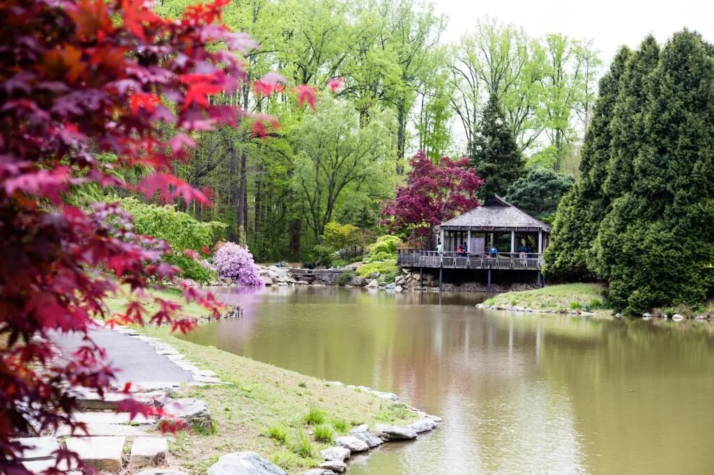 Brookside-Gardens-Fall-1024x682.jpg