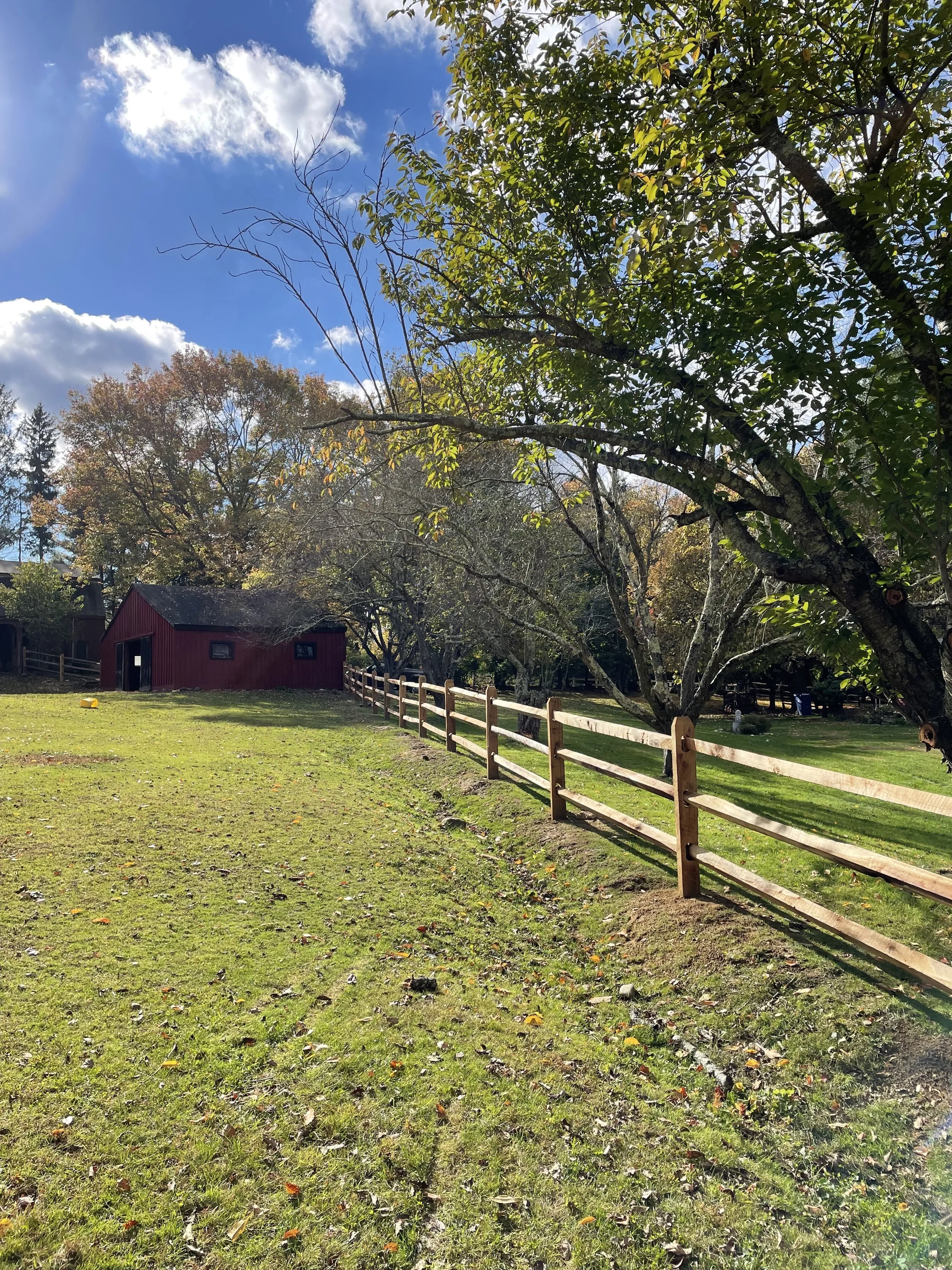 White vinyl Privacy Fence - Manchester.jpeg