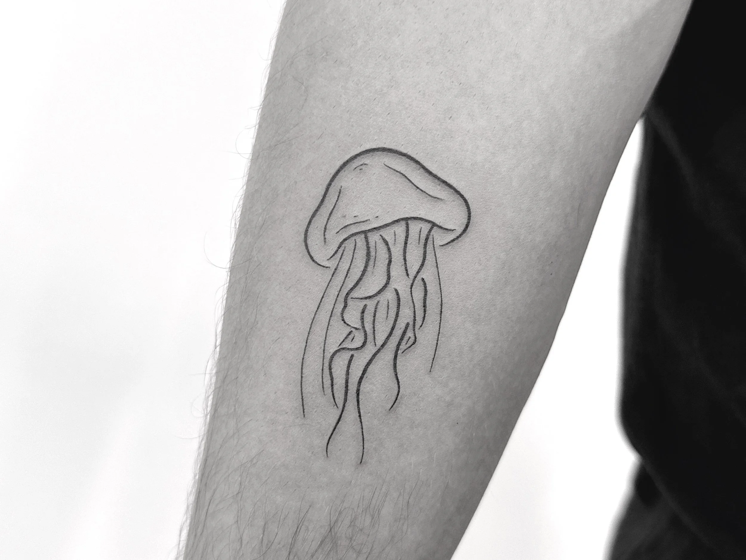 Tattoo Jellyfish fineline.jpg