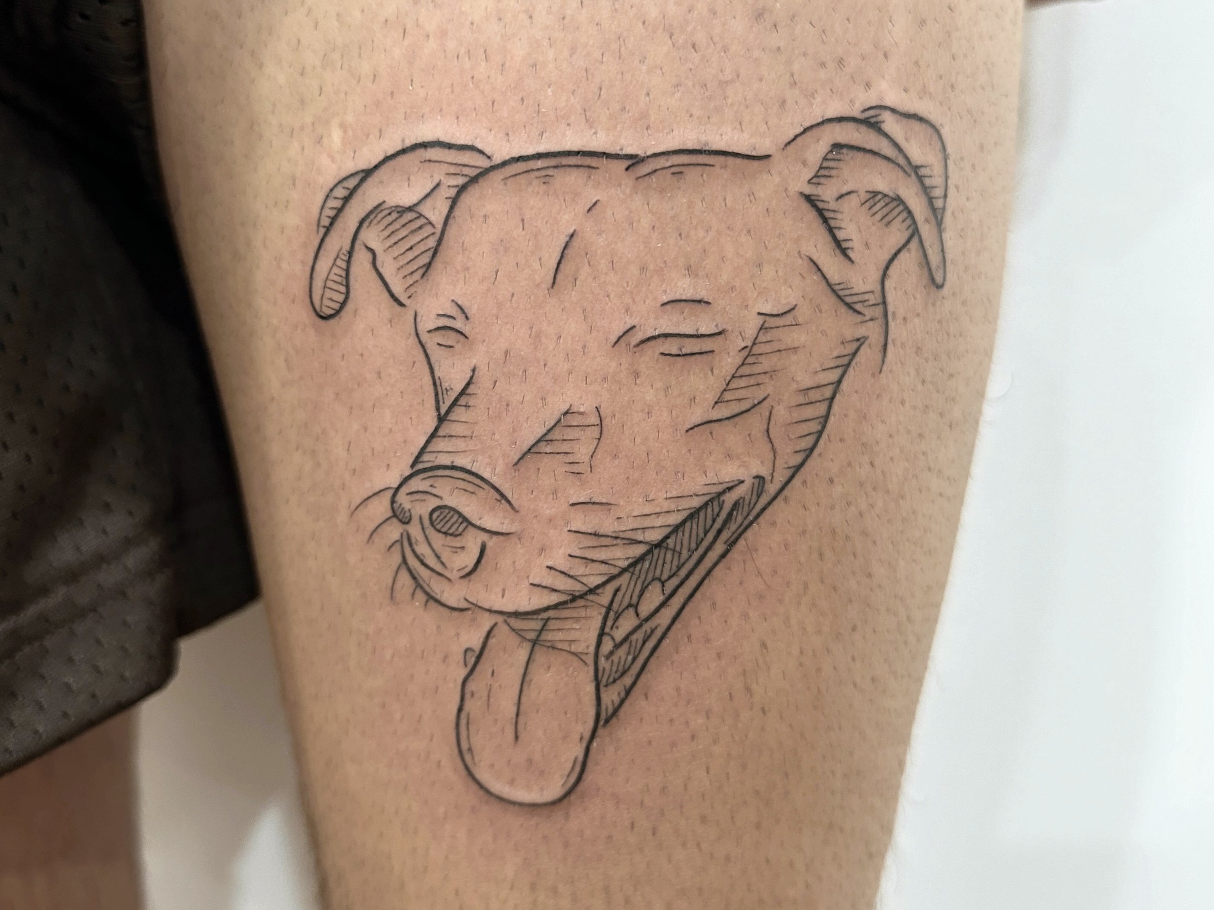 Tattoo cachorro.JPG