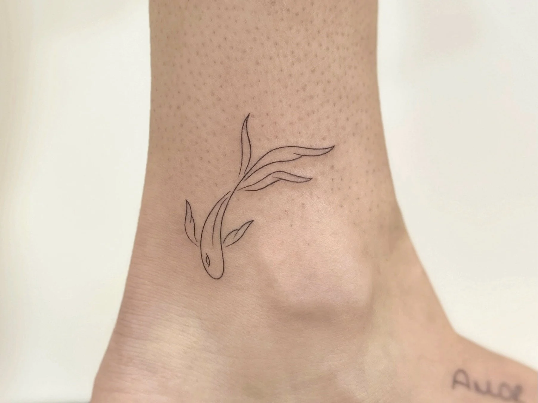 AfterlightImage 21 - cópia 5.JPG