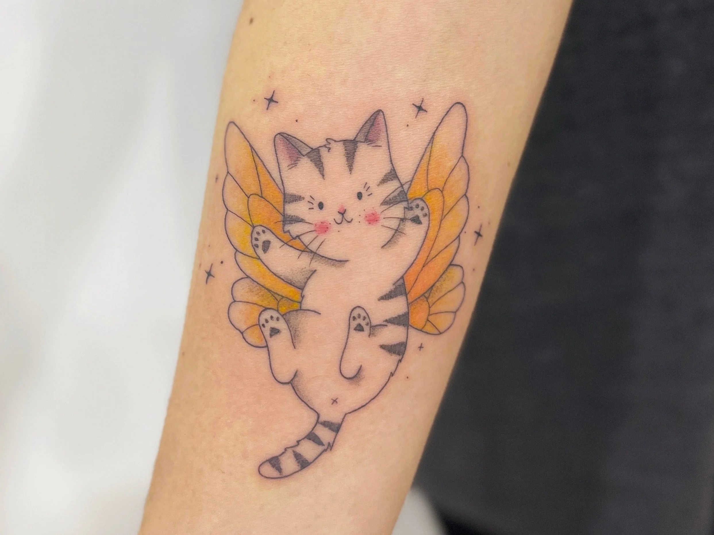 tattoo gato fofo.JPG