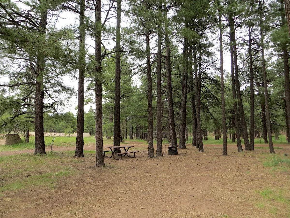 Fort Tuthill Campground - Flagstaff, AZ