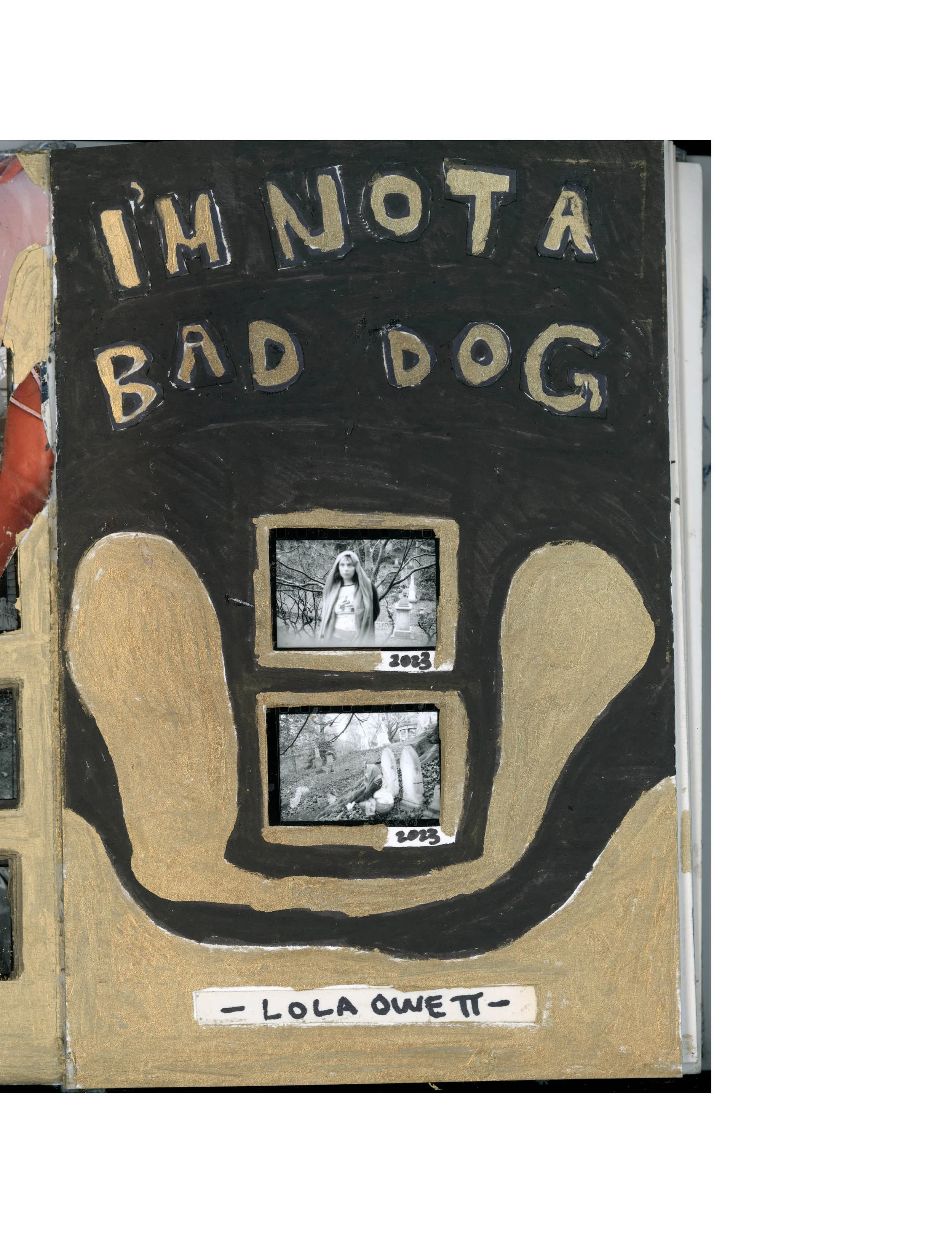 im not a bad dog5.jpg