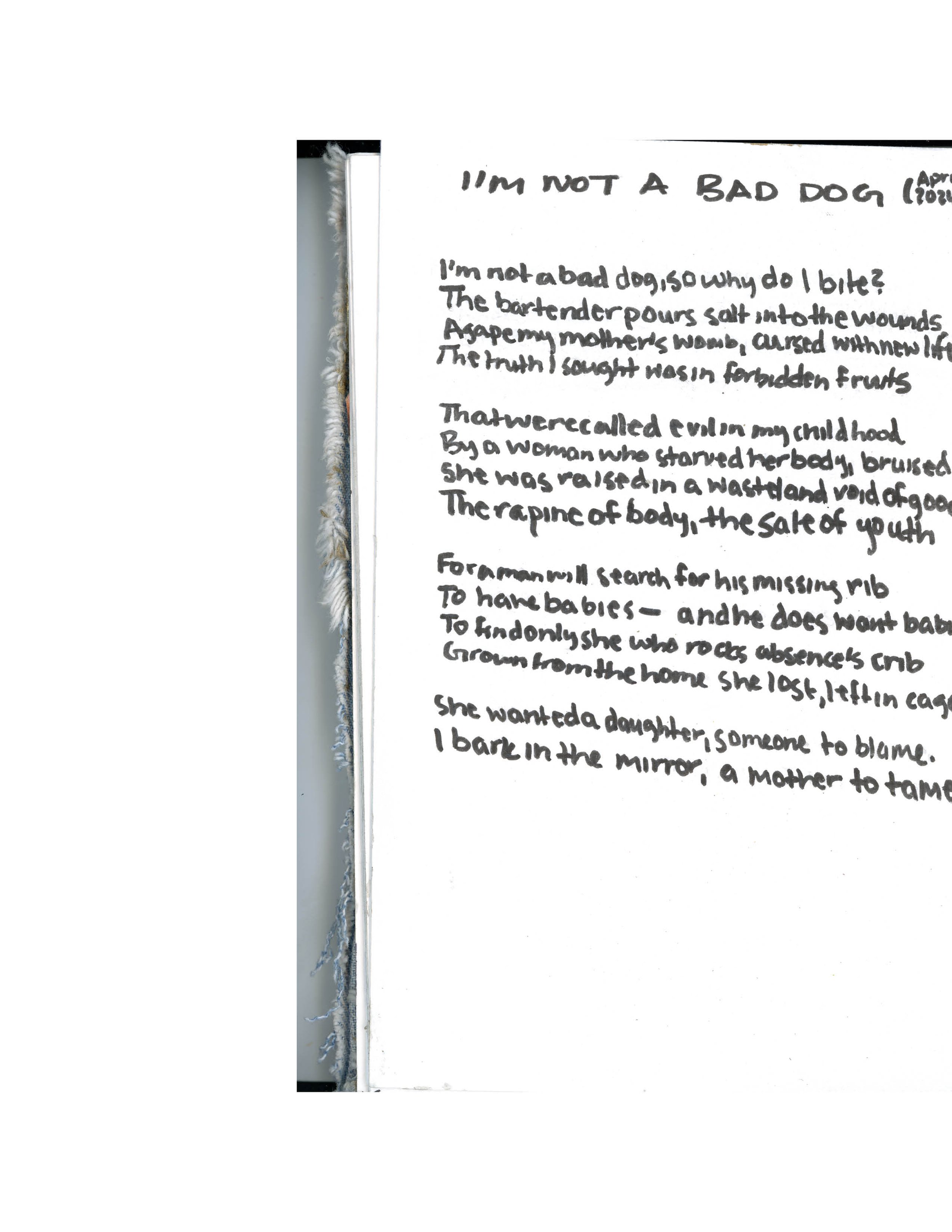 im not a bad dog12.jpg