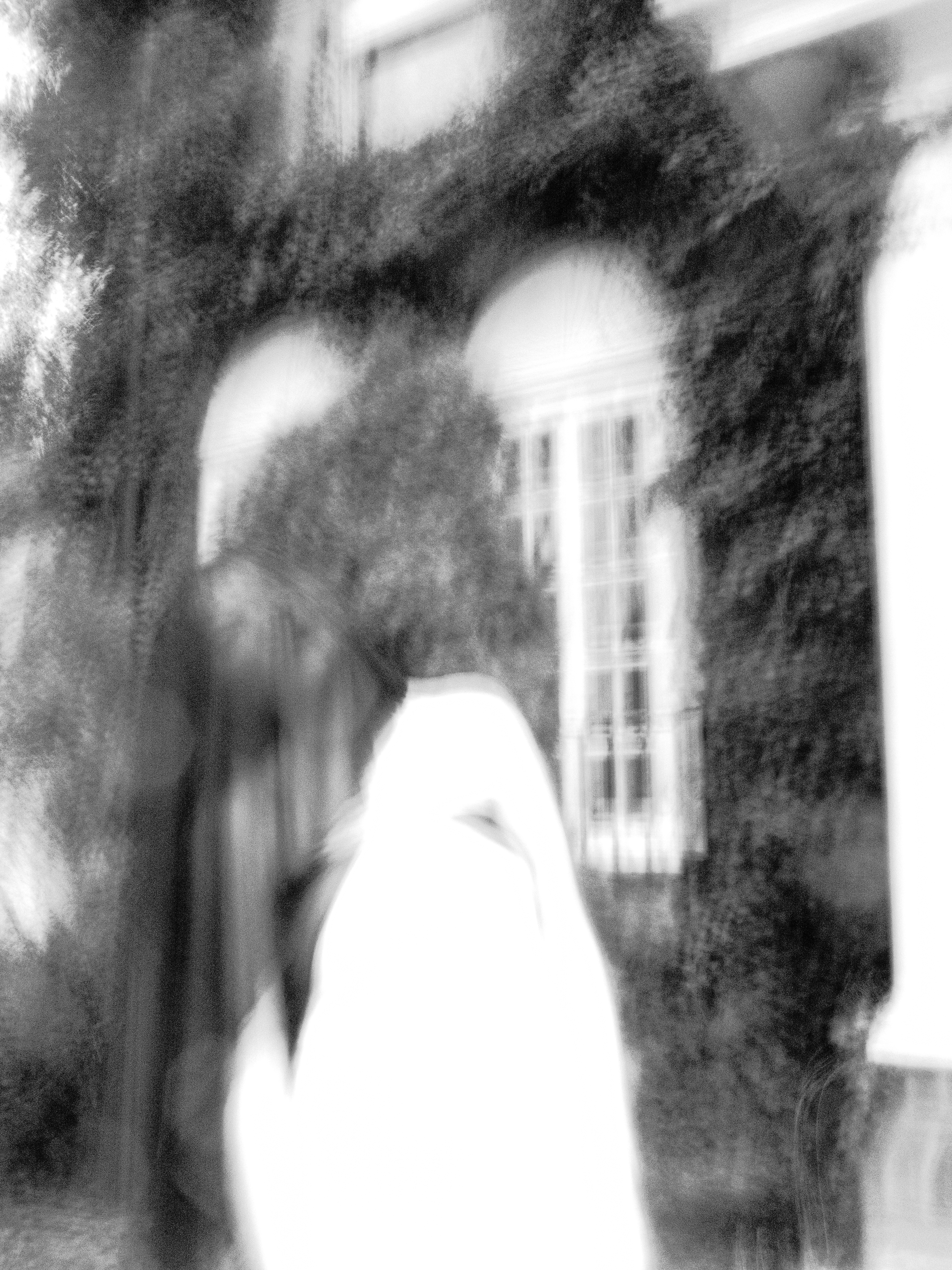 P1220145.png