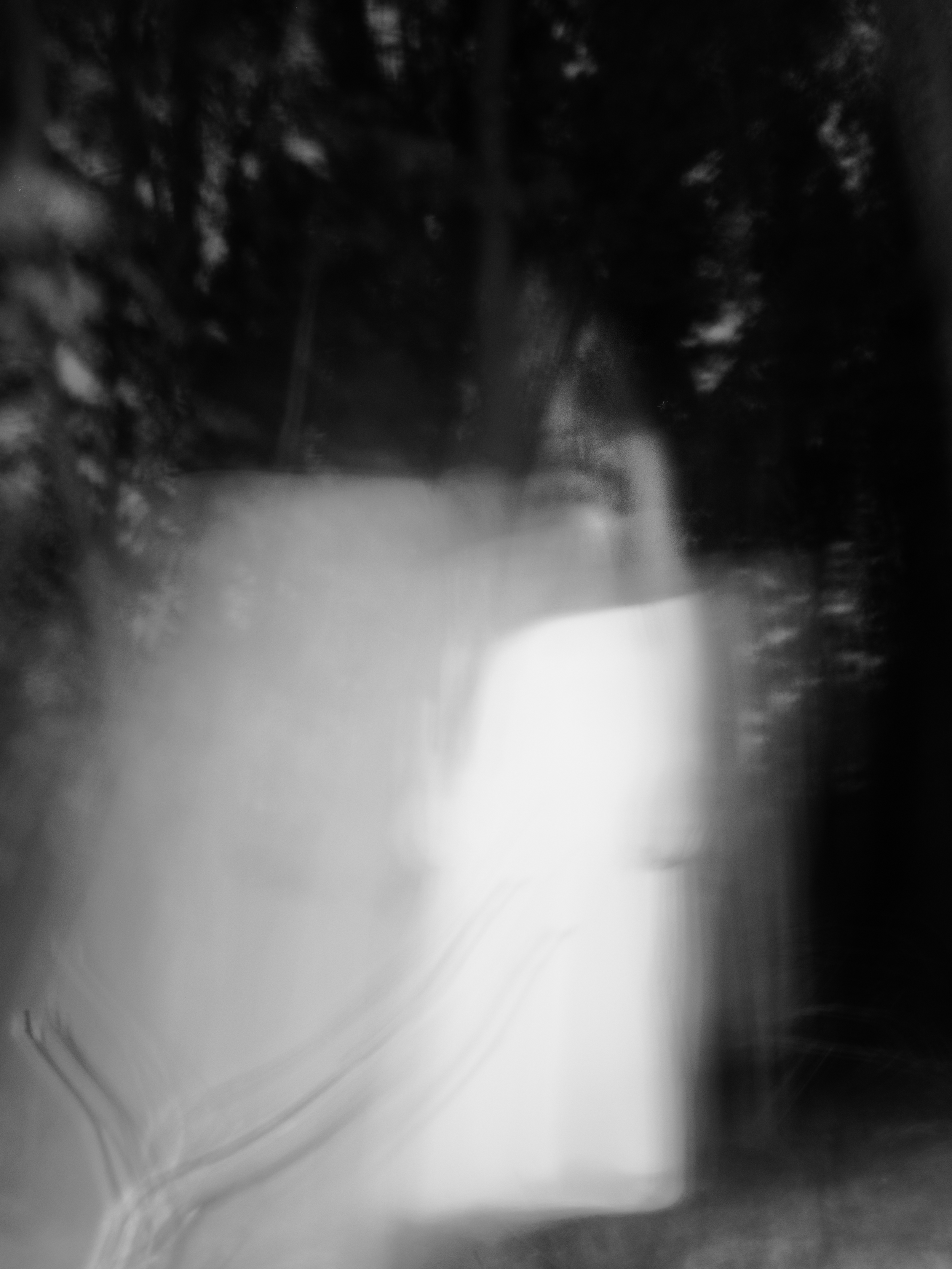 P1220177.png