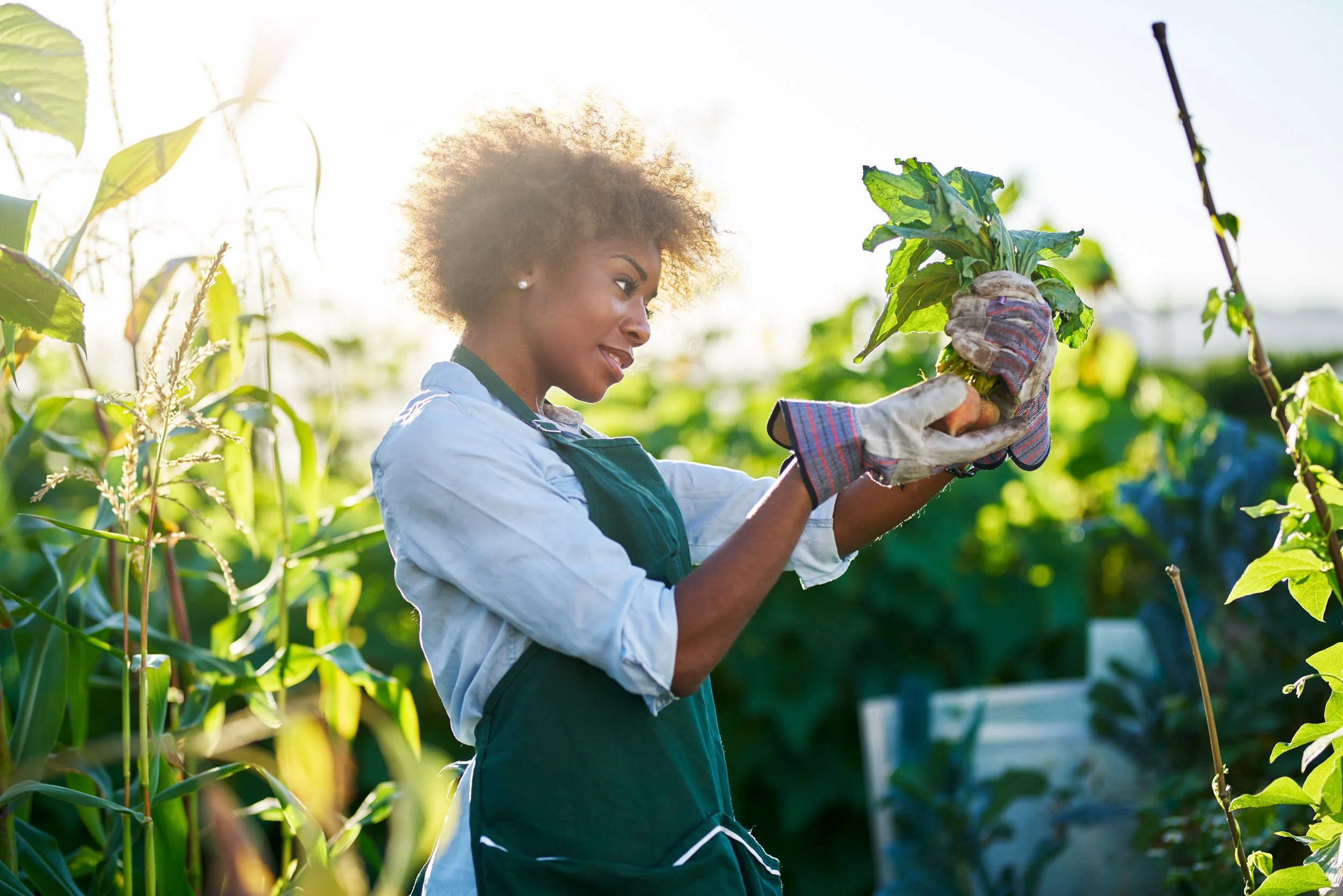 The Impatient Gardener: Why Growth Cannot Be Forced in a Family Business