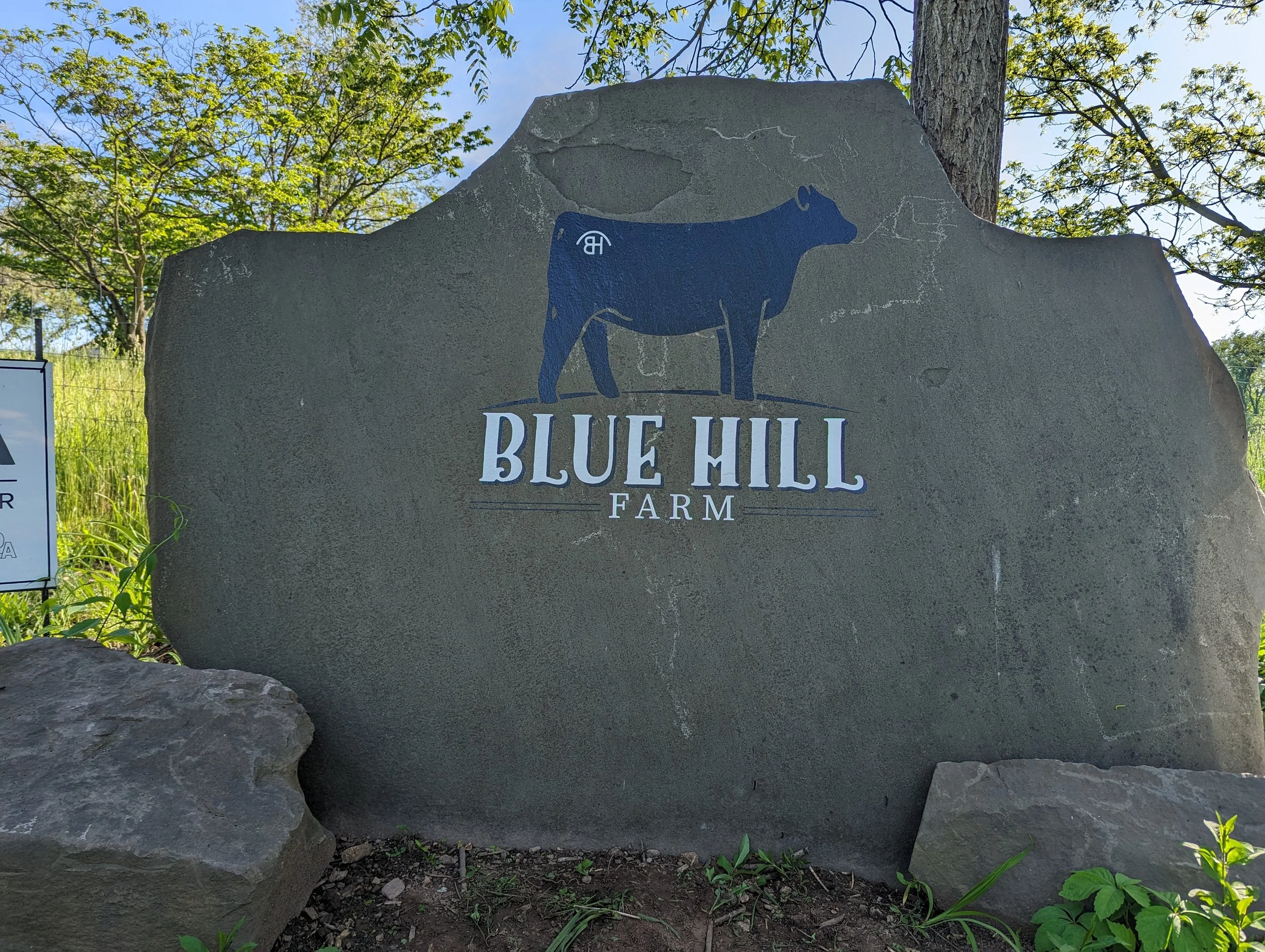 Blue Hill Farm.jpg