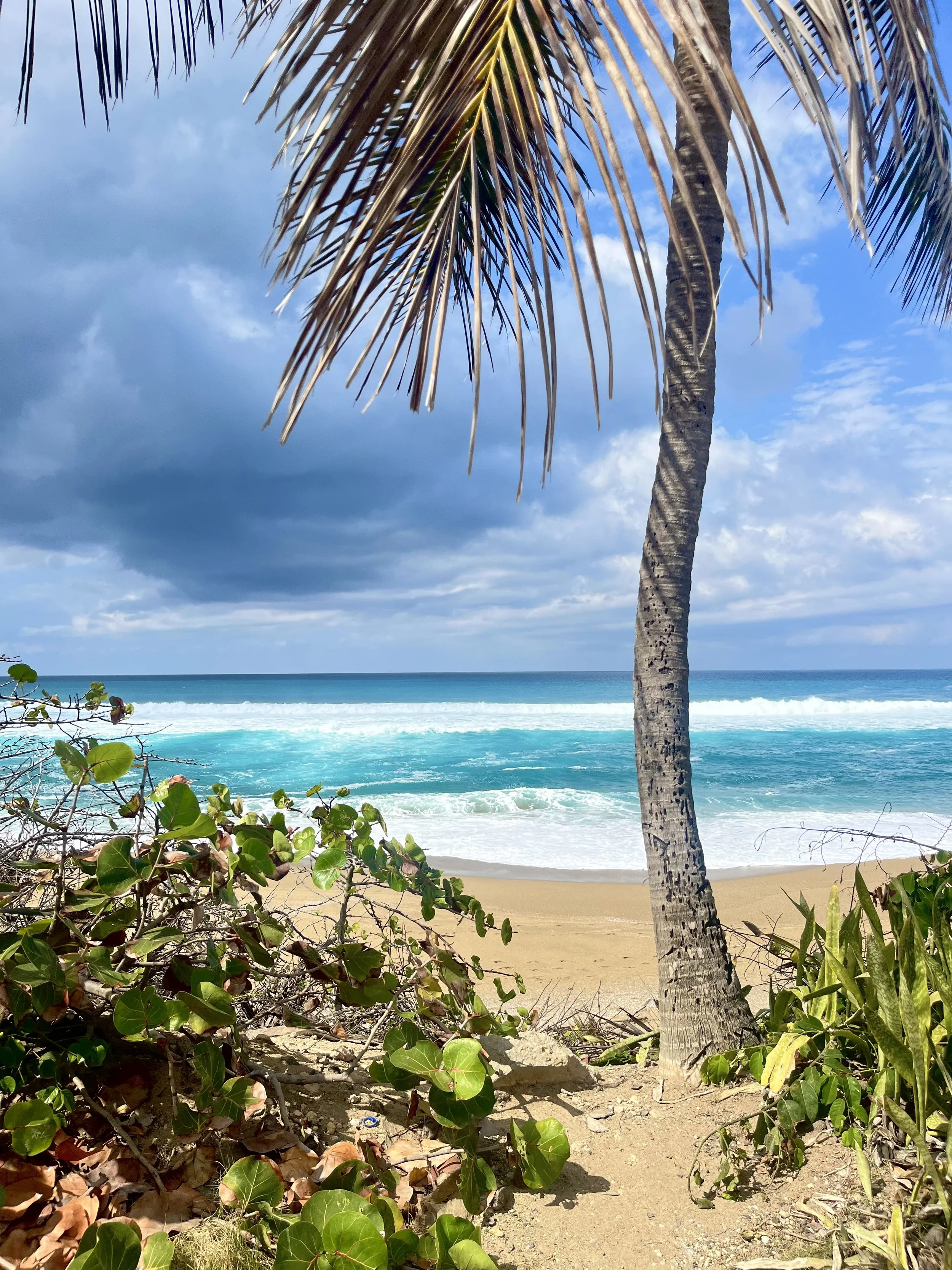 The Isla Sana Experience