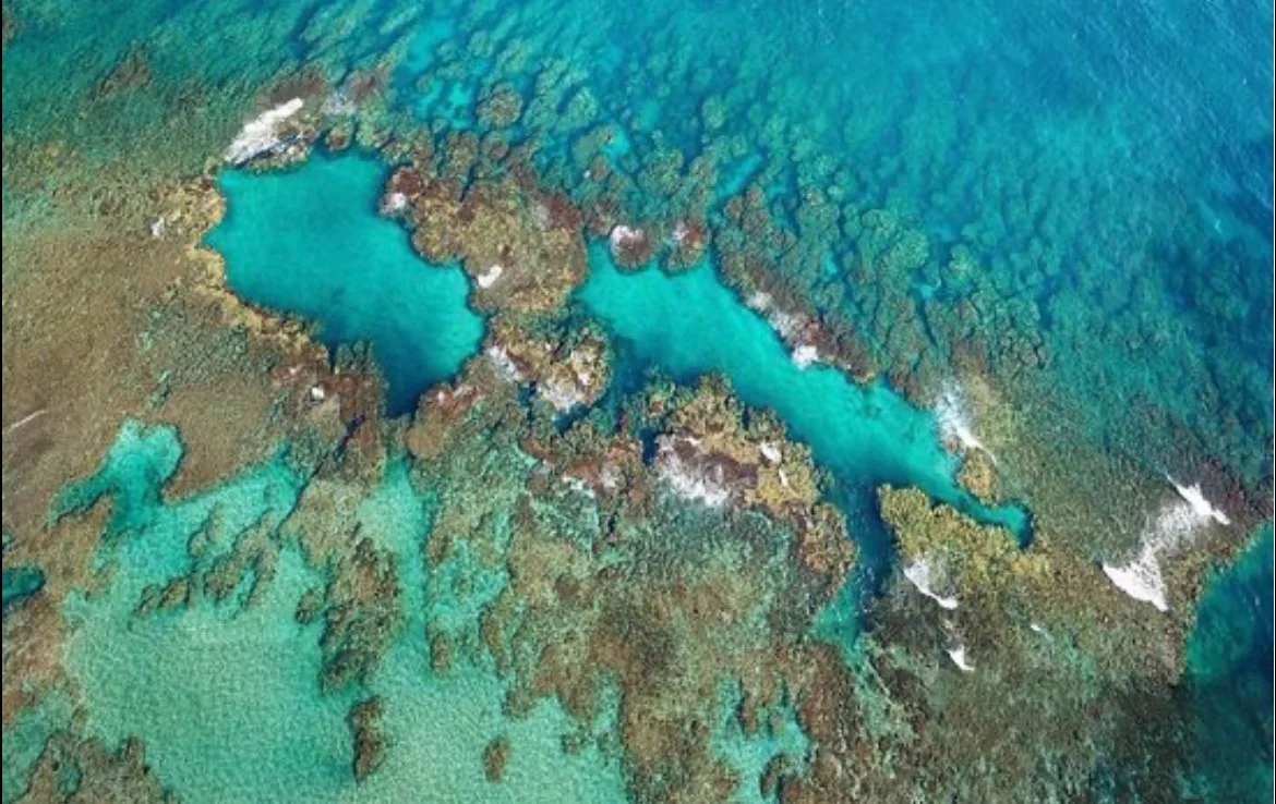 IMG_1181.jpeg (Copy)