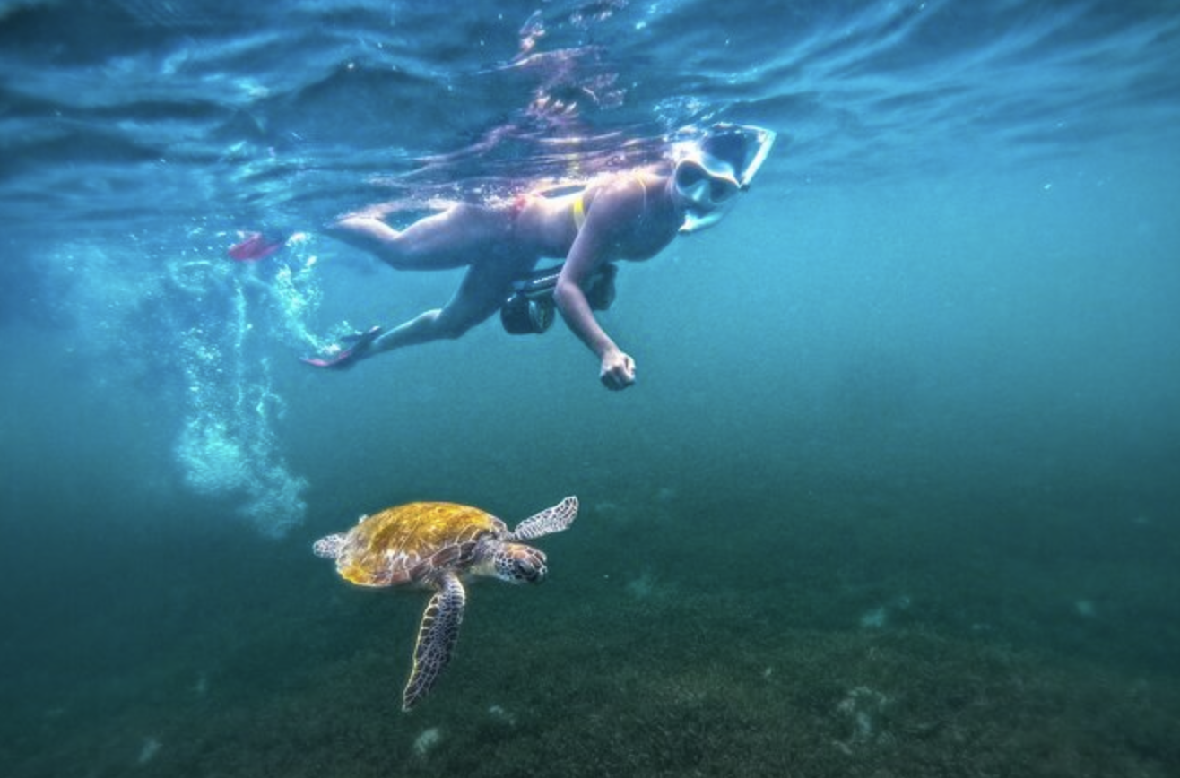 Screenshot 2026-03-23 at 10.18.35 PM.png