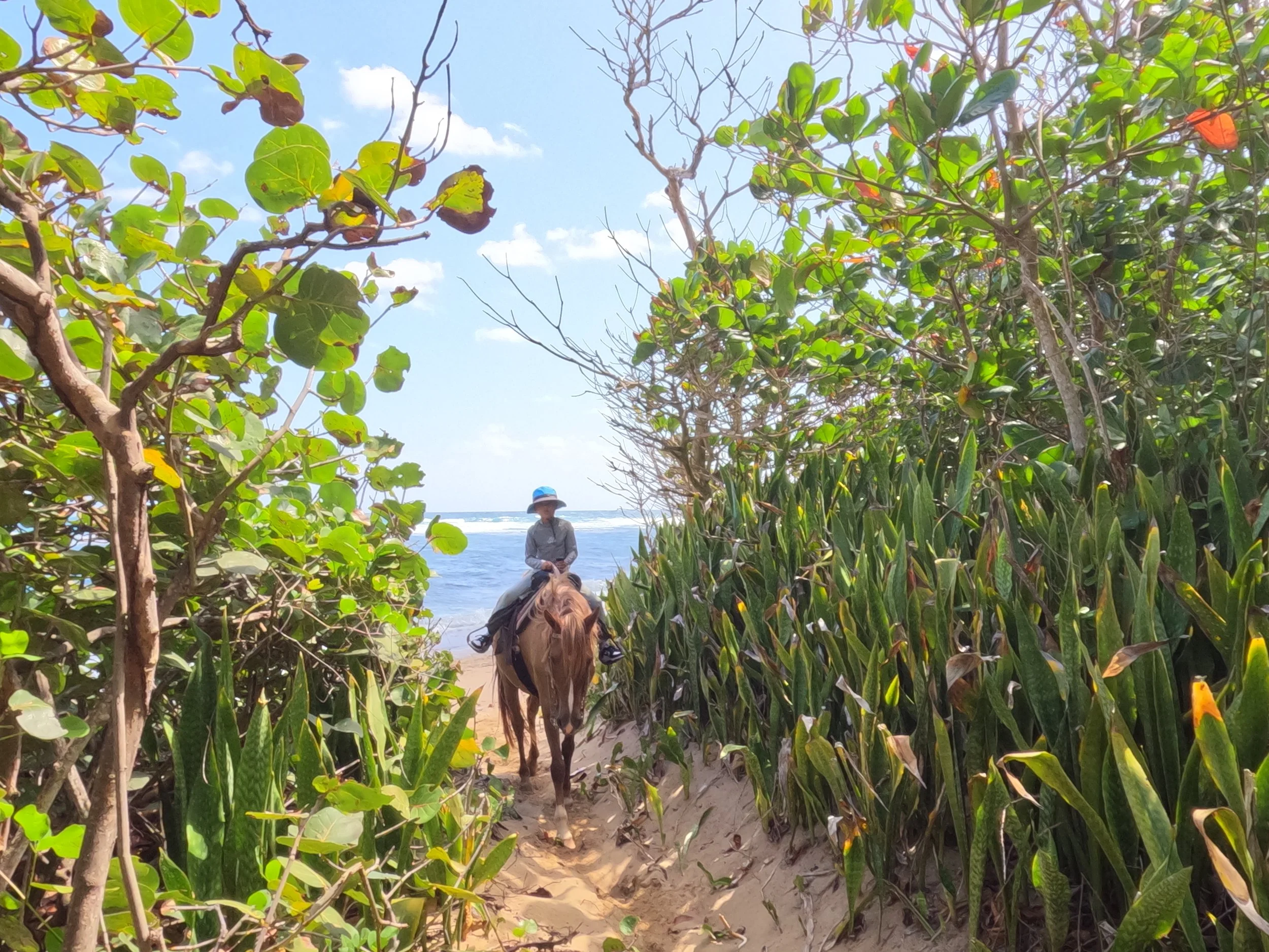 GOPR1075.jpeg (Copy)