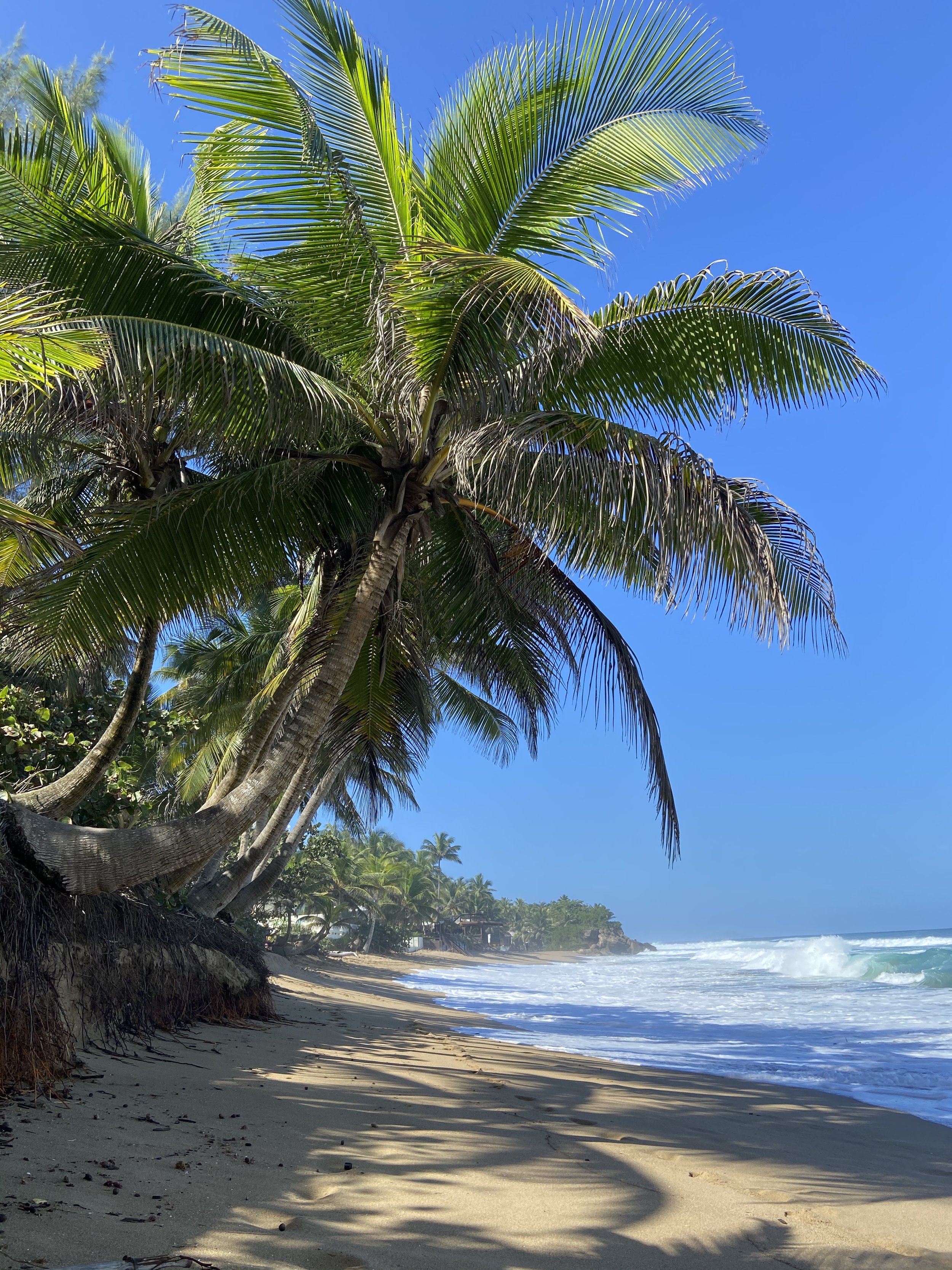 Isla Sana Retreat Package