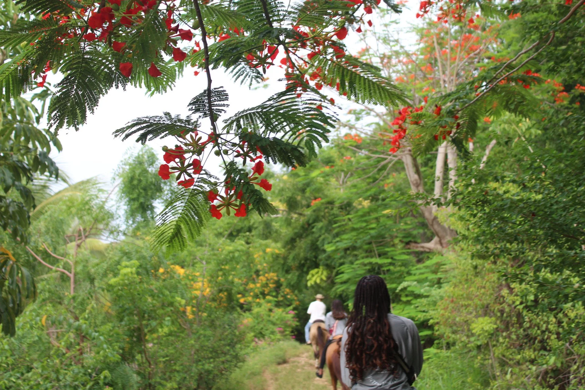 Essentials Experience