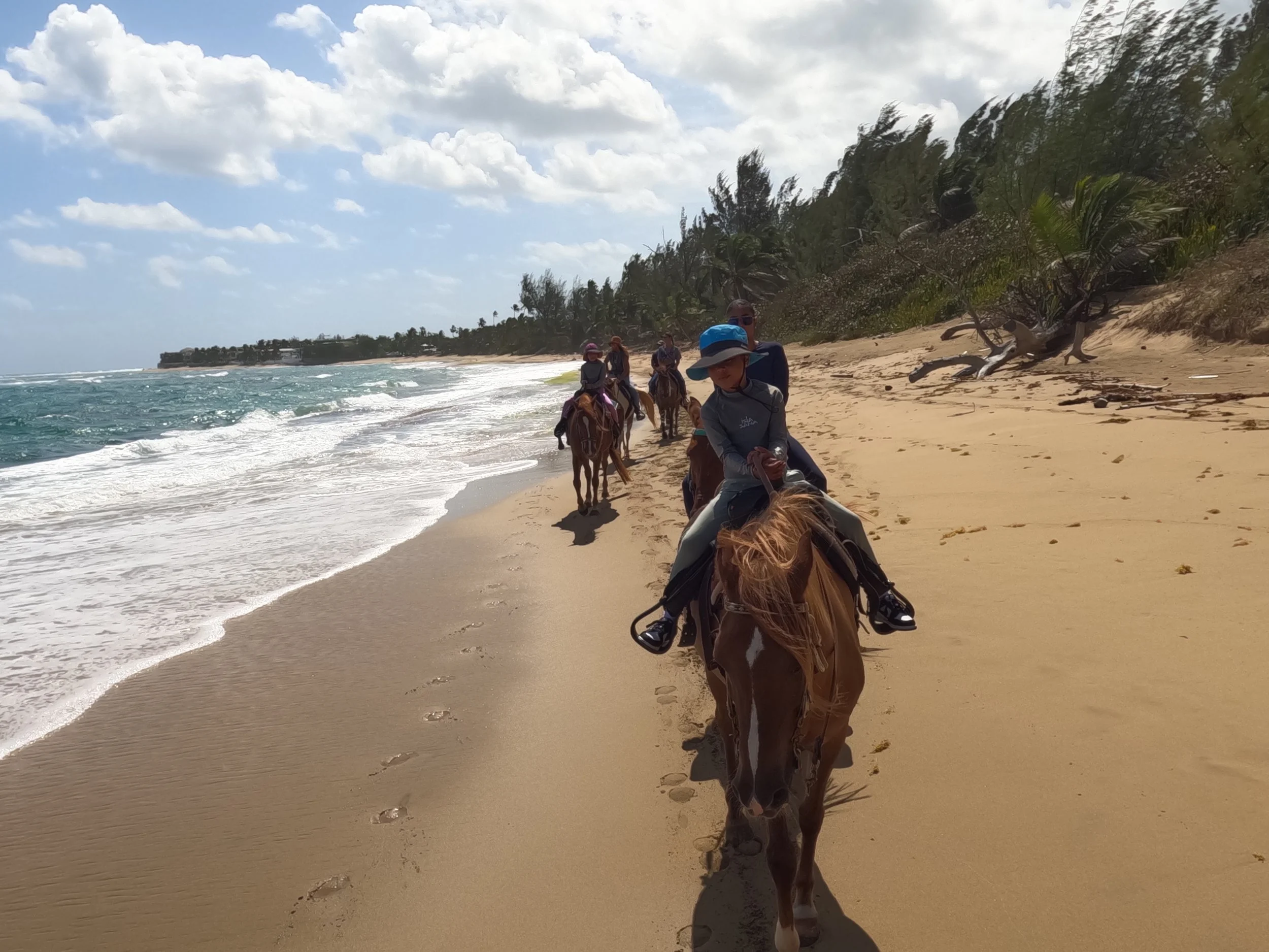 GOPR1052.jpeg (Copy)