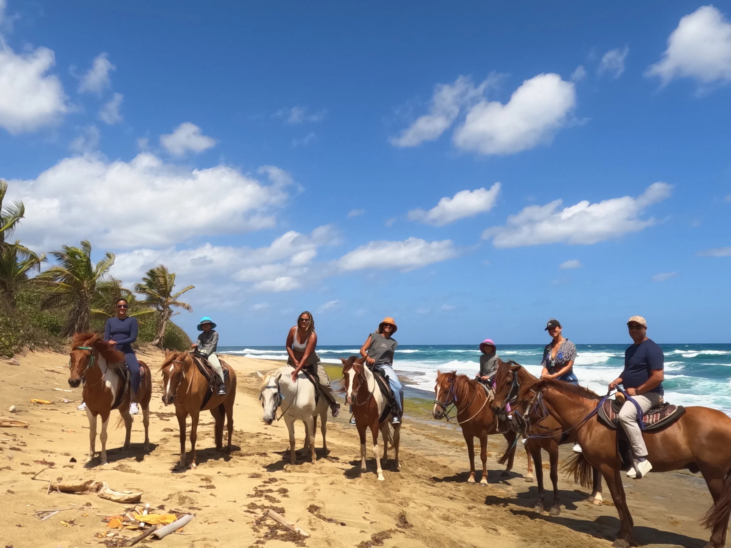 GOPR1094.jpeg (Copy)