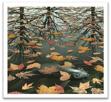 Cumulative Impact Assessment: Is It Just a Fancy Way of Identifying and Managing Risk?