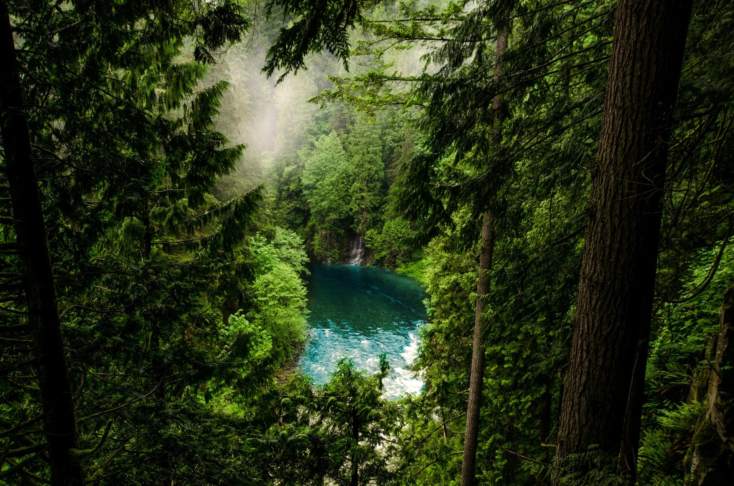 An Updated Look at British Columbia's Parks, Protected Areas and Conservation Efforts