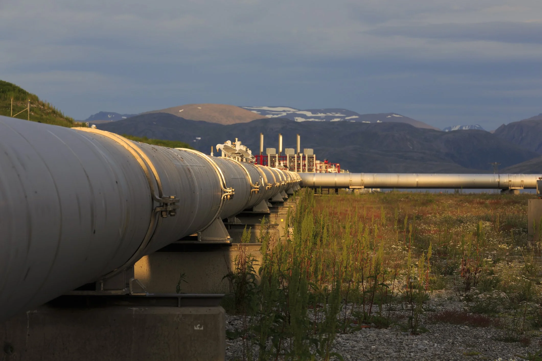 Submission on the Proposed Listing of the West Coast Oil Pipeline as a Project of National Interest