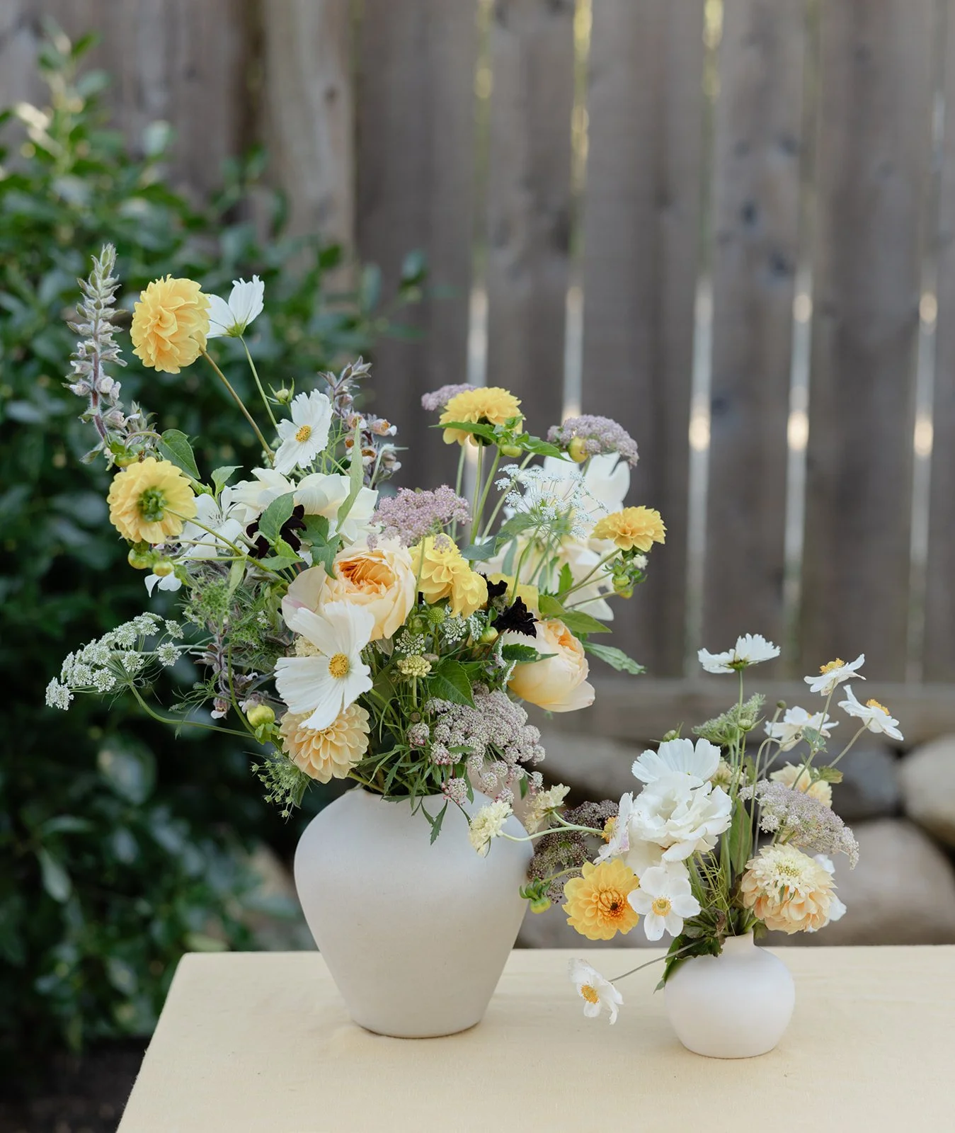 Rebecca and Nate's Backyard Vineyard Wedding October 12, 2024