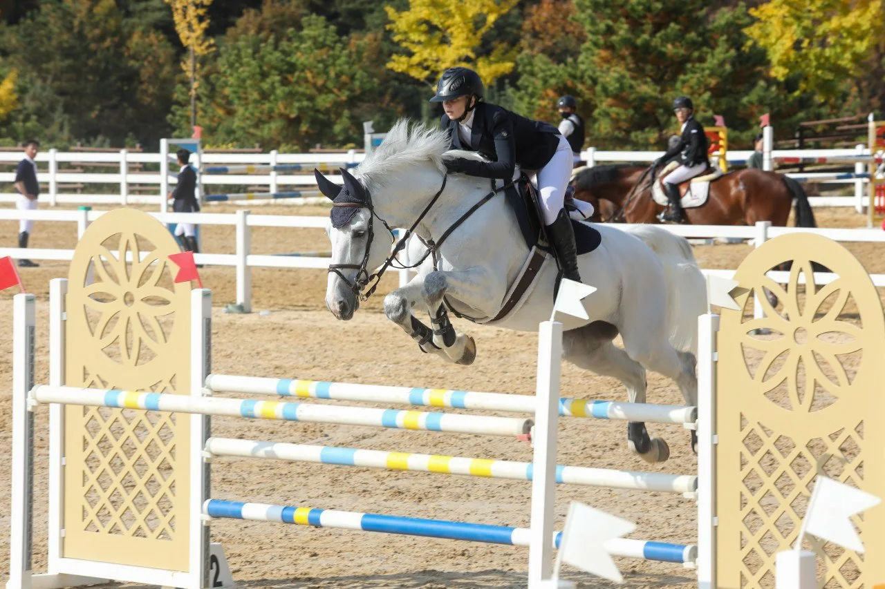 7B8C36B7-02C5-48E7-B4ED-1785C04D8127 3.JPG