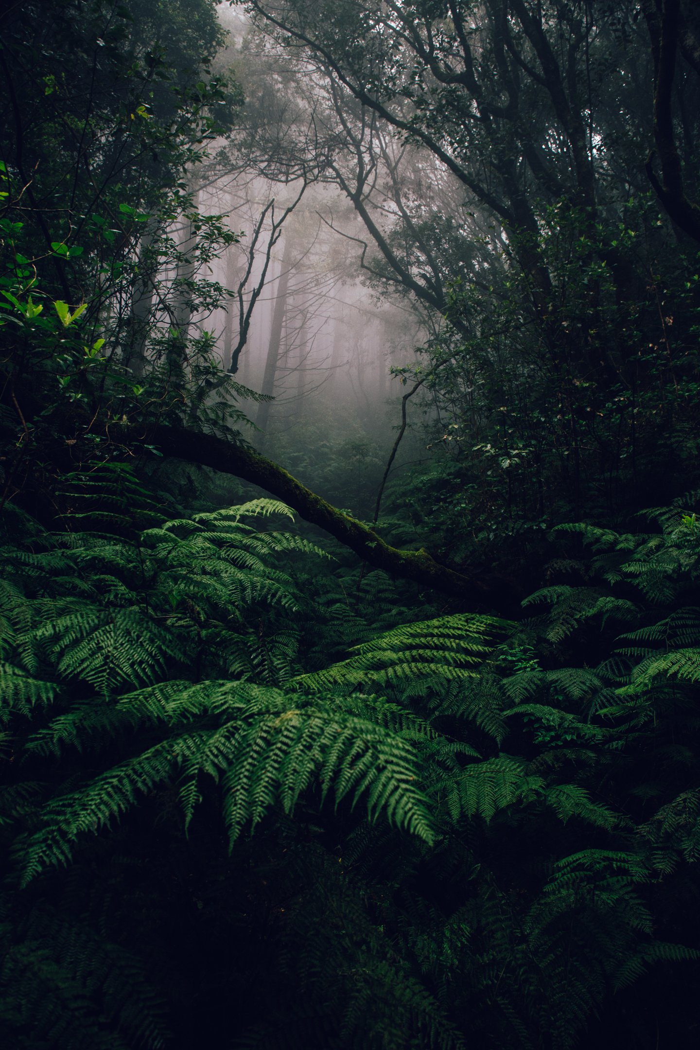 Madeira '22